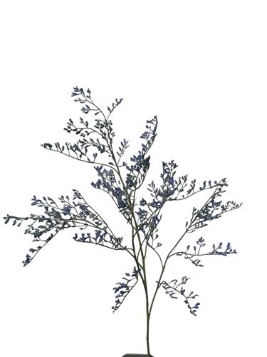 Statice tak 80 cm blauw