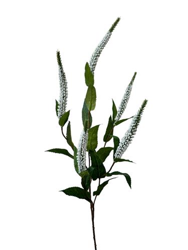 Veronica x 5 52 cm wit