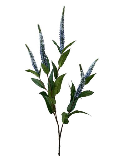 Veronica x 5 52 cm blauw