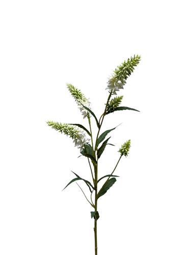 Veronica tak 75 cm wit