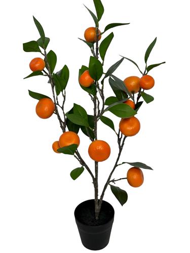Homepagina - Robert's Collection