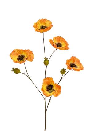 Klaproos x 5 groot oranje/geel