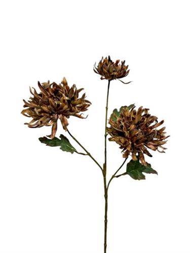 Chrysant x 3 80 cm coffee