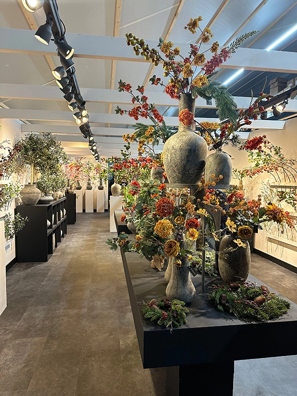 Showroom roberts collection