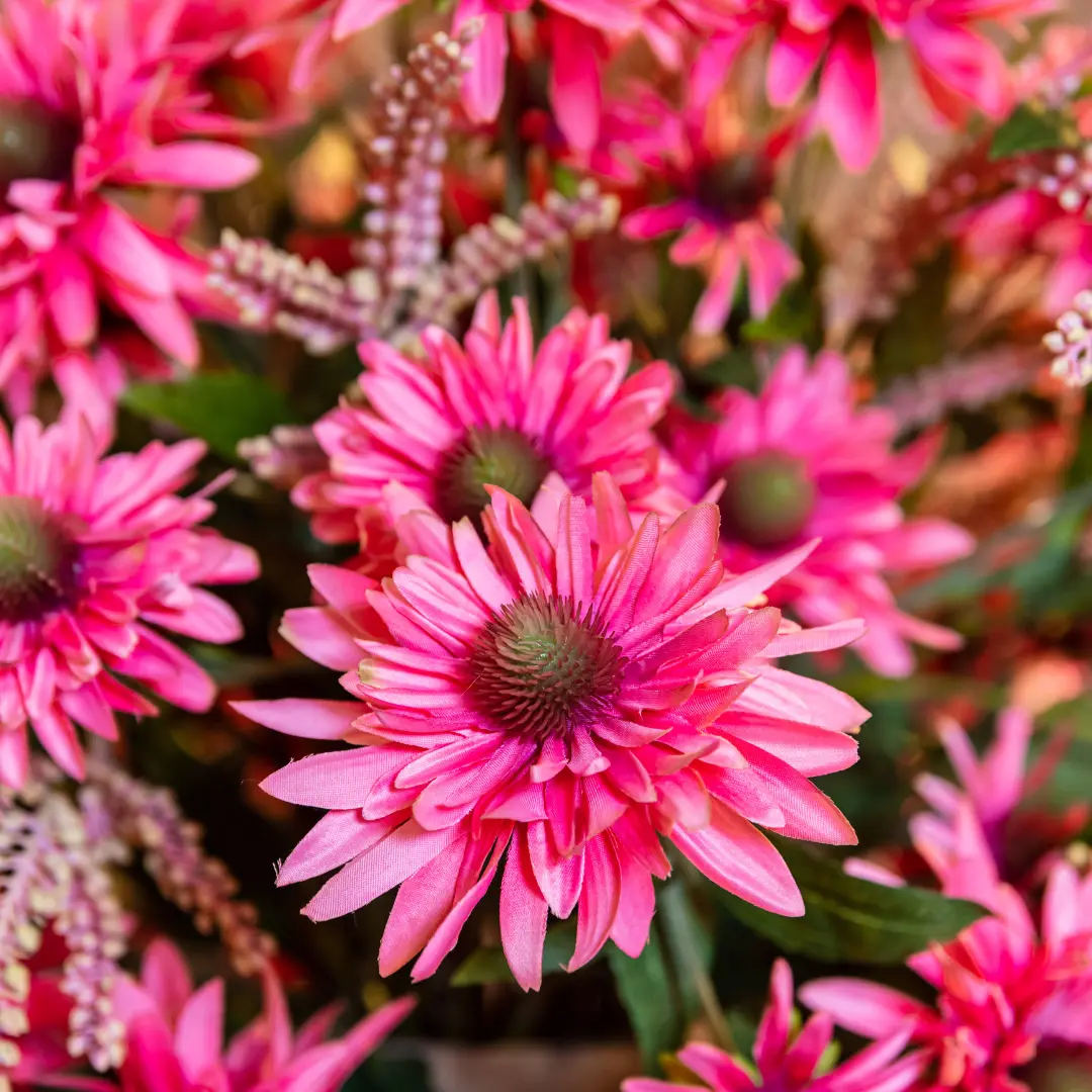 Kunstplanten groothandel - Robert's Collection