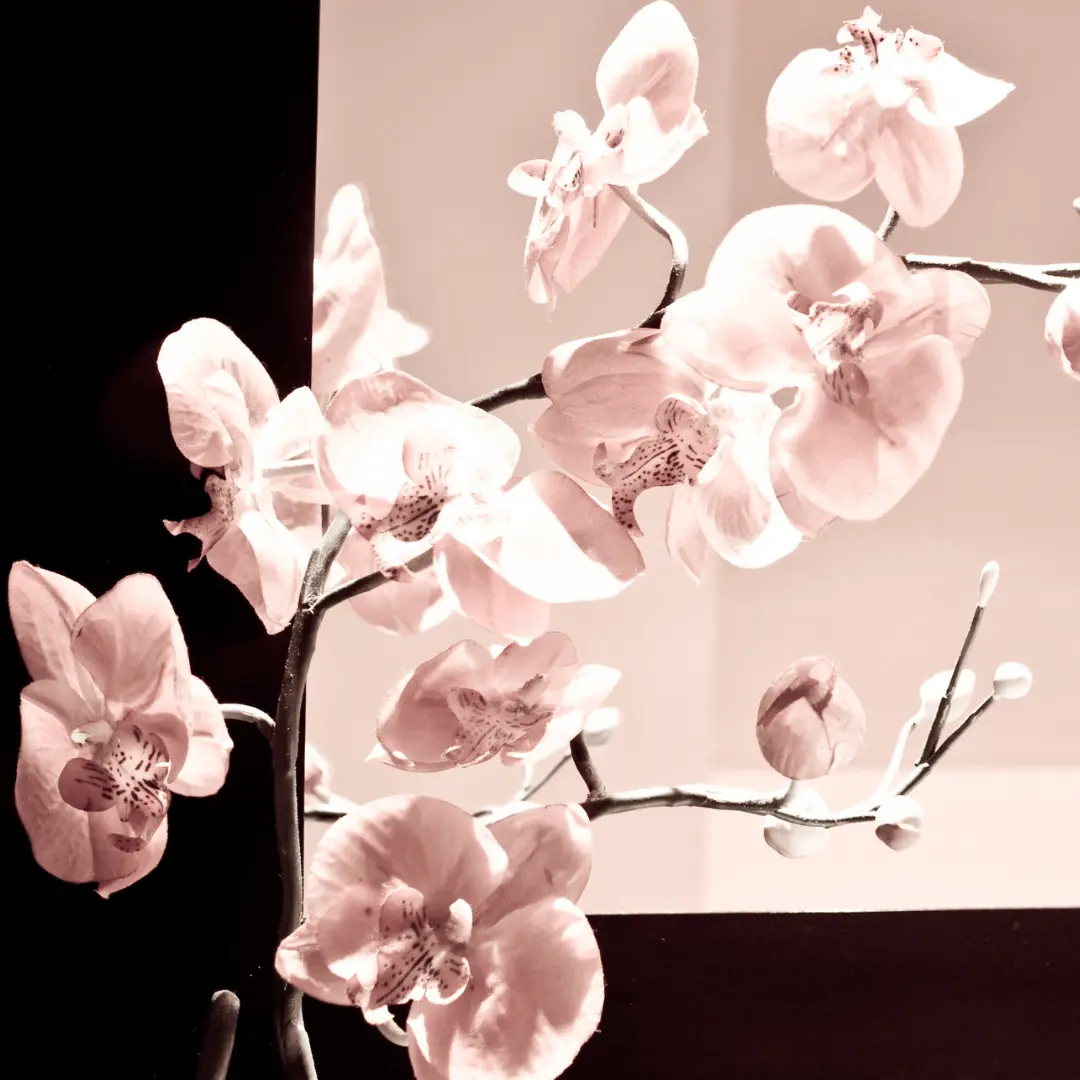 Zijden bloemen inkopen 4