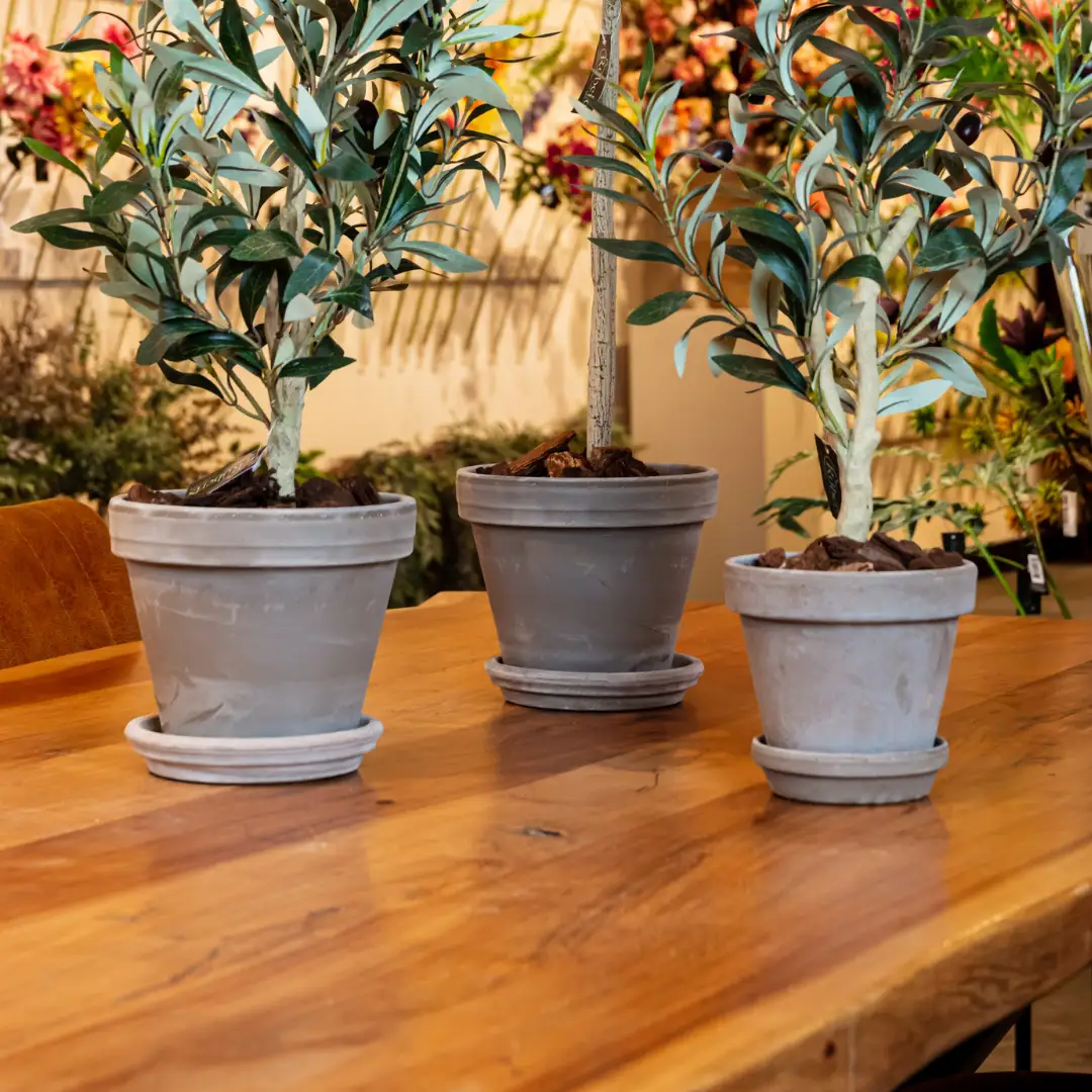 Plantenpotten groothandel
