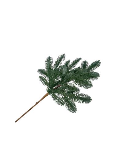 Homepagina - Robert's Collection