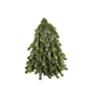 Homepagina - Robert's Collection