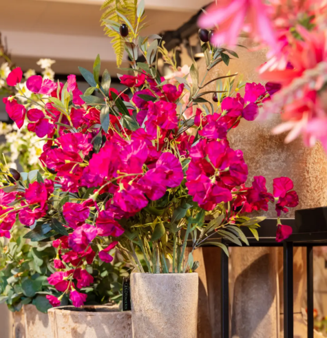 Bloemen blog