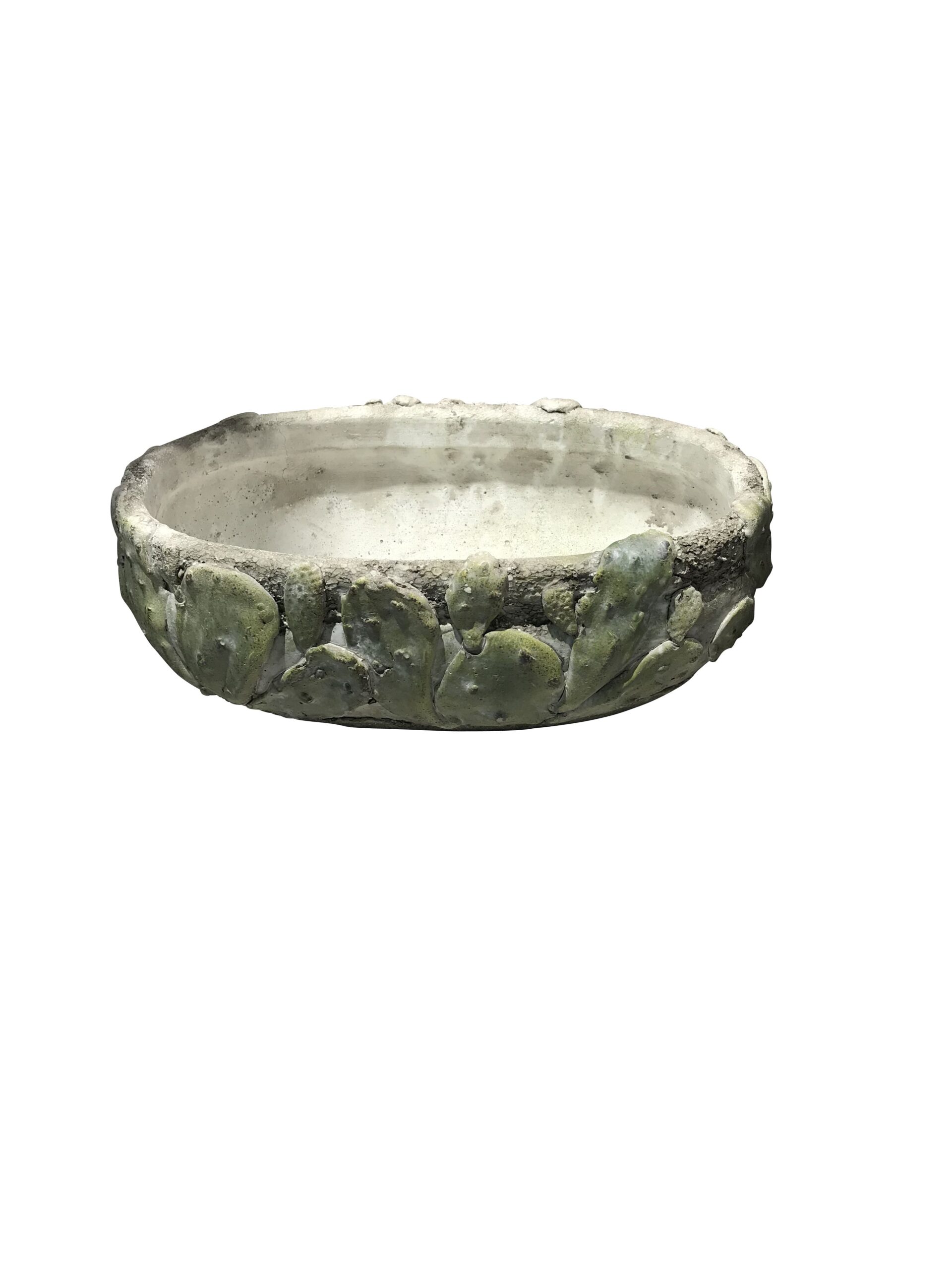 Pot cactus 29 x 17 x 11 cm groen