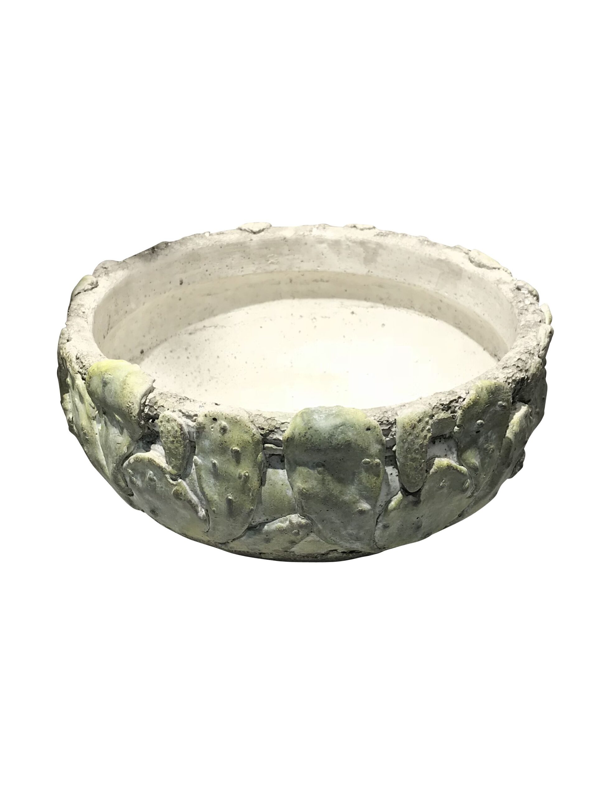 Schaal cactus 29.5 x 12.5 cm groen