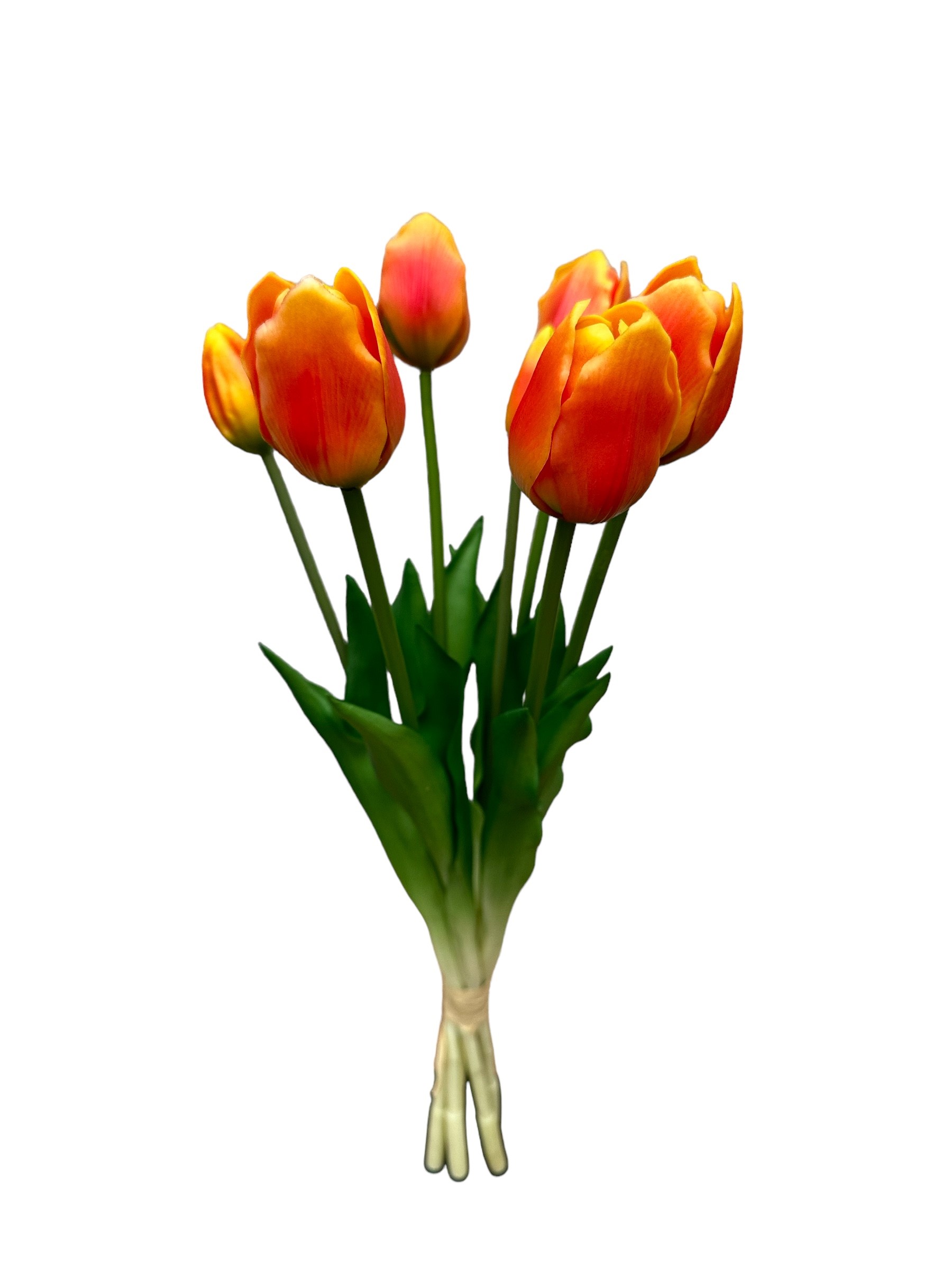 tulp bush x 7 (47cm) oranje