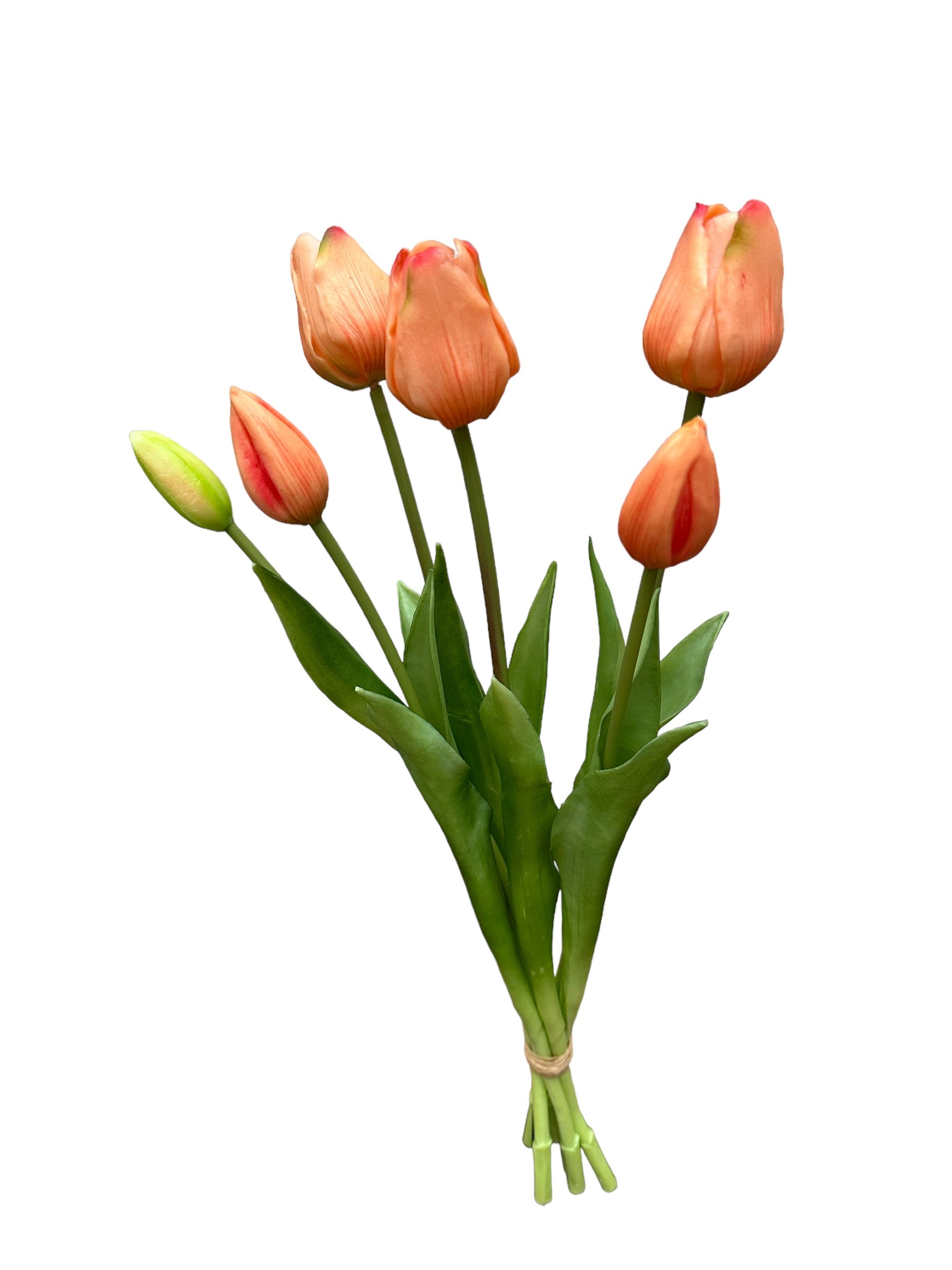 tulp bush x 7 (47cm) peach