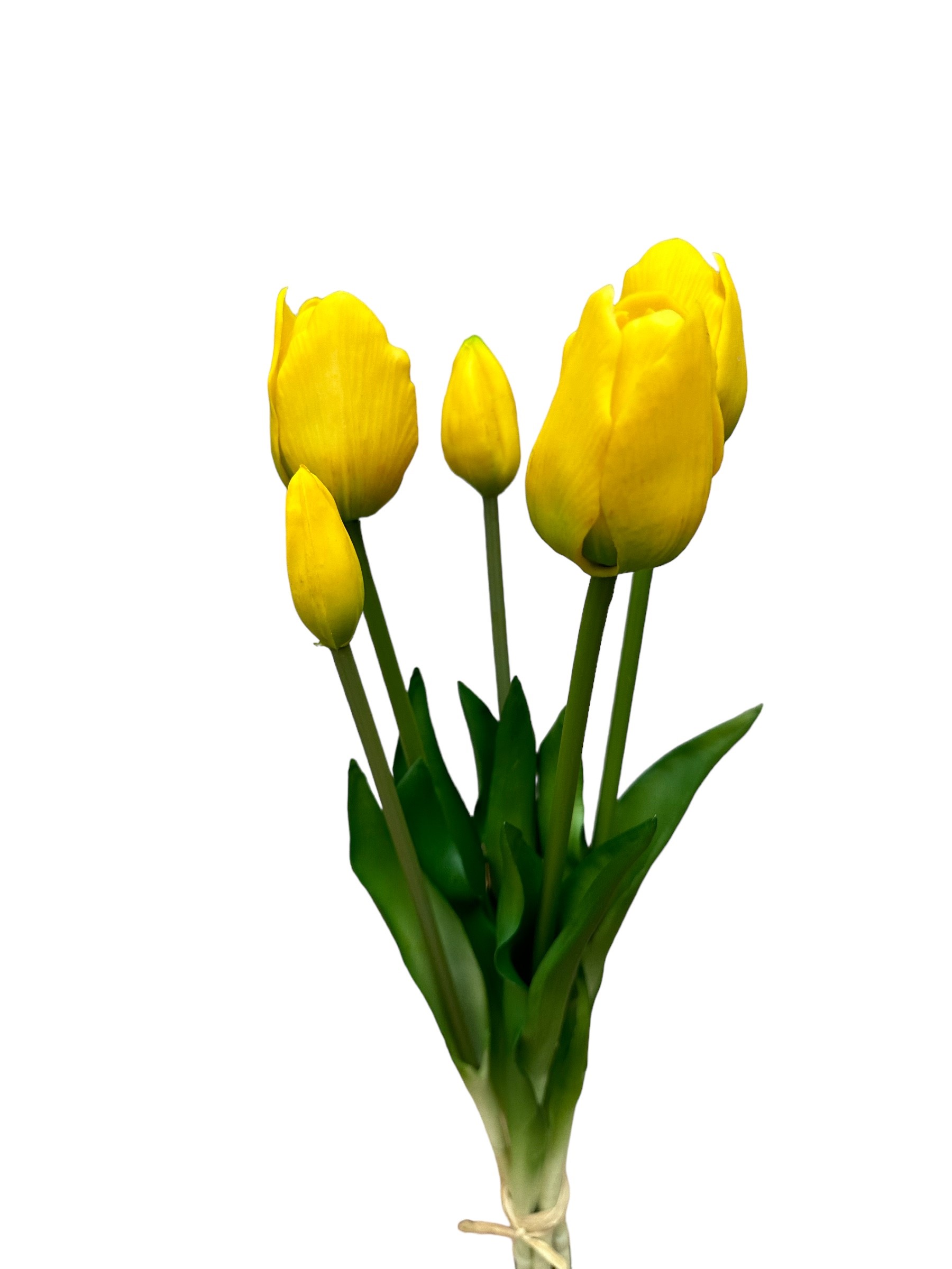 tulp bush x 5 (32cm) yellow