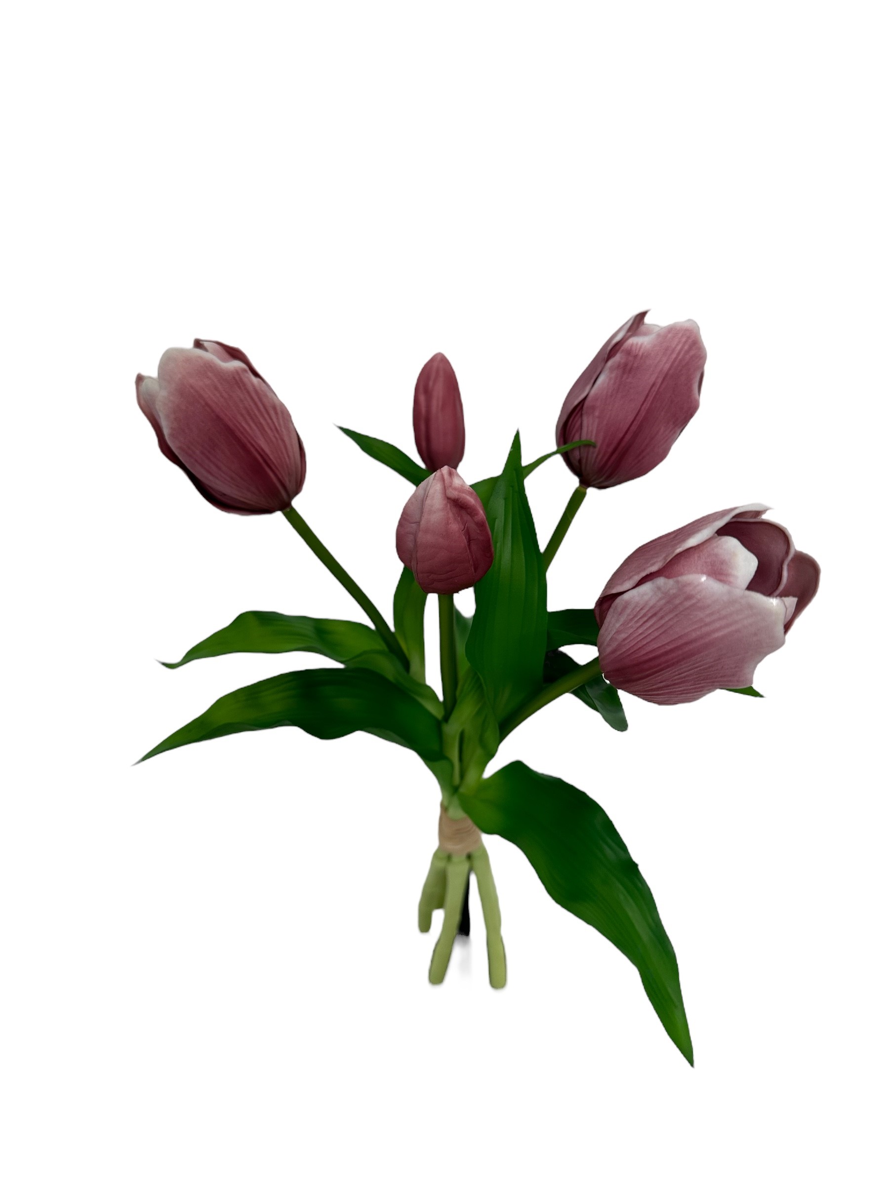 tulp bush x 5 (32cm) lavender