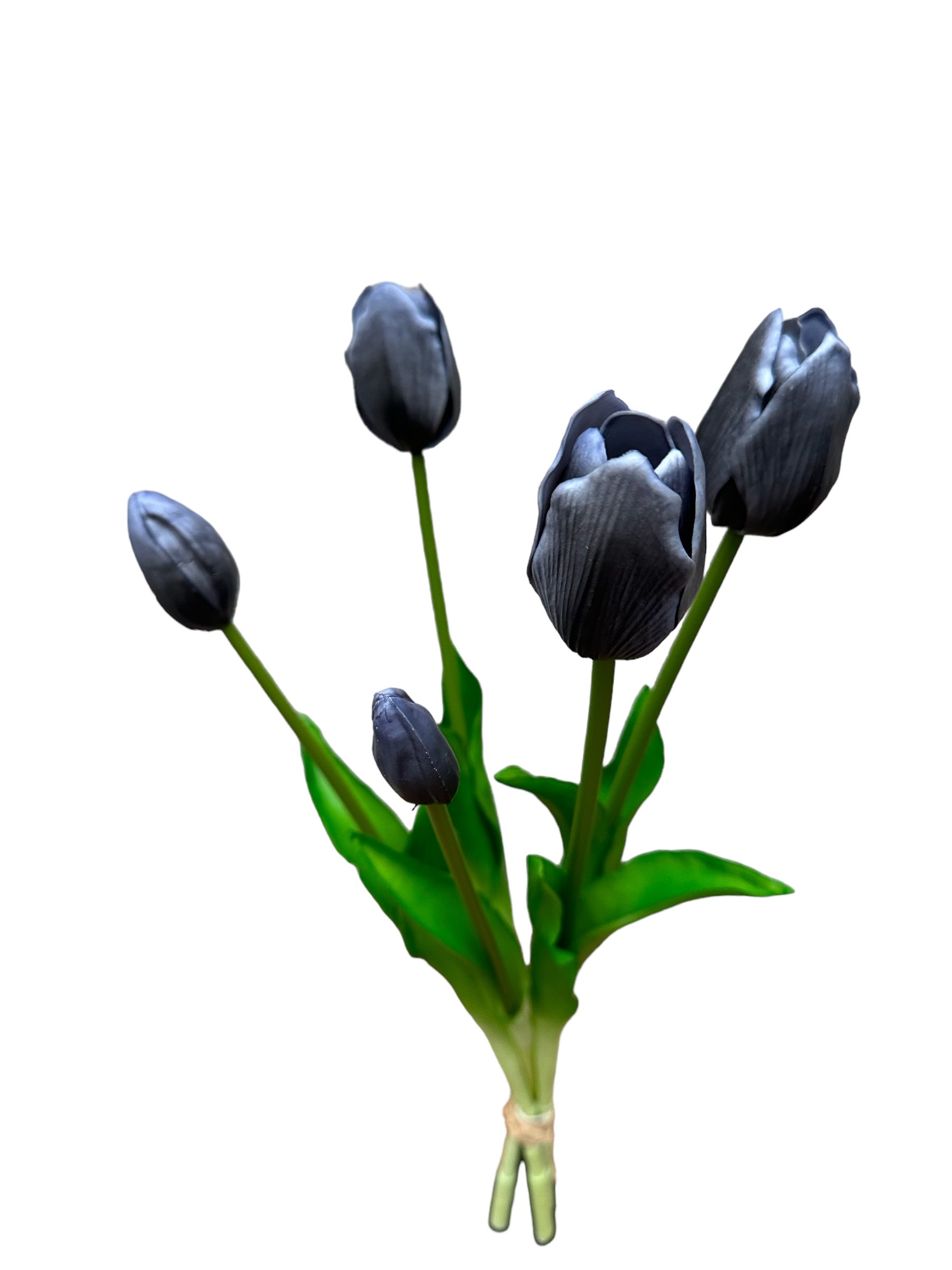 tulp bush x 5 (32cm) purple