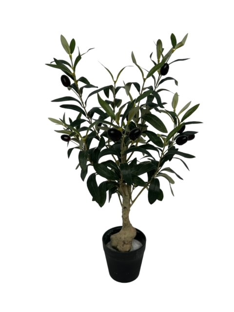 Homepagina - Robert's Collection