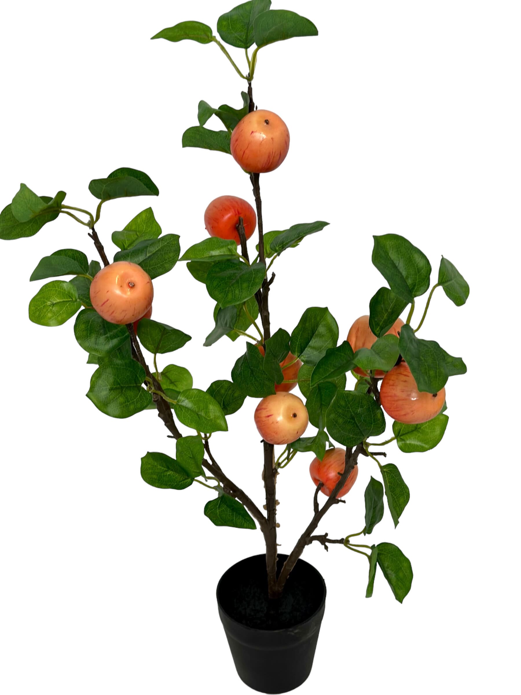 Homepagina - Robert's Collection