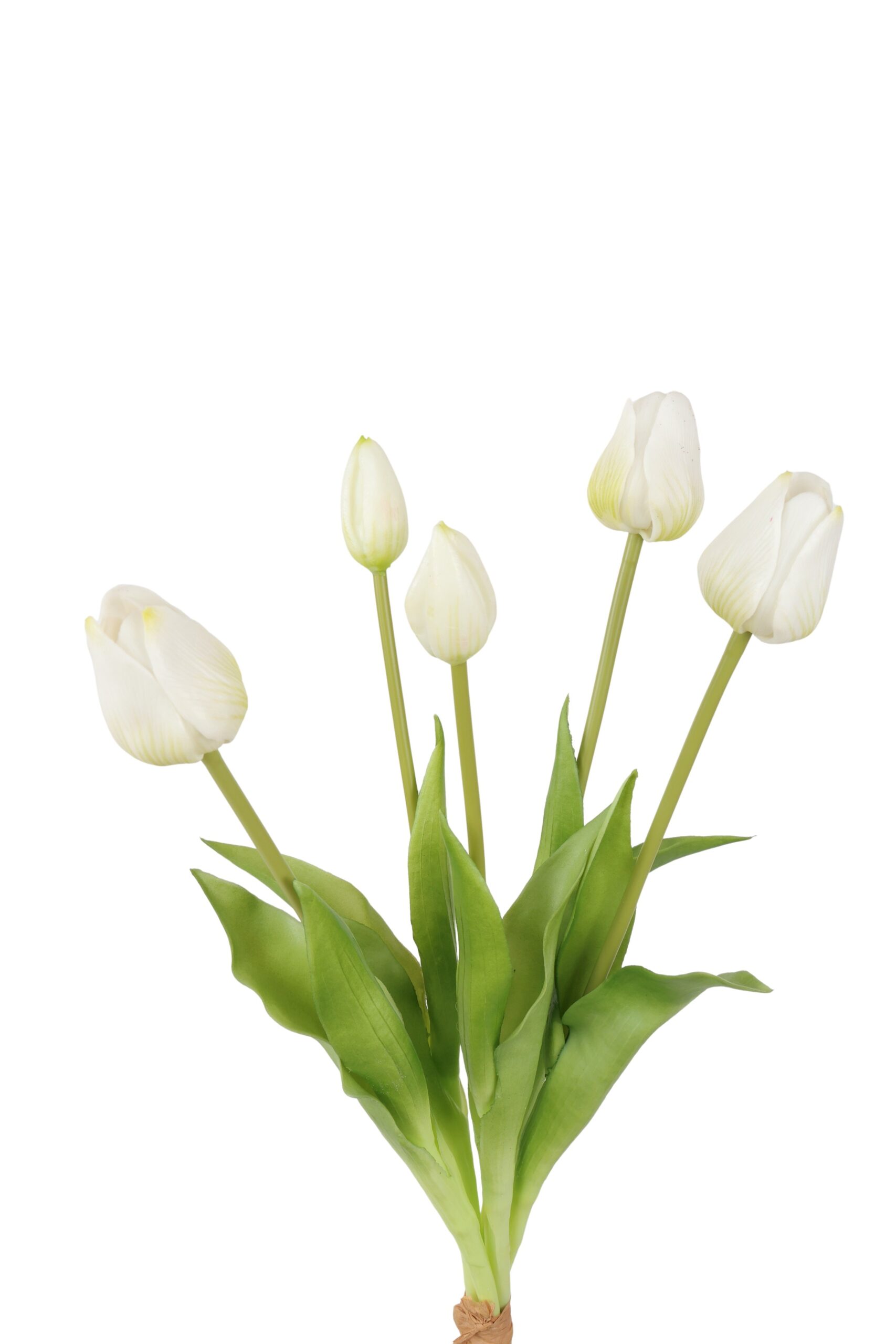 tulp bush x 5 olivia 47 cm wh/gr