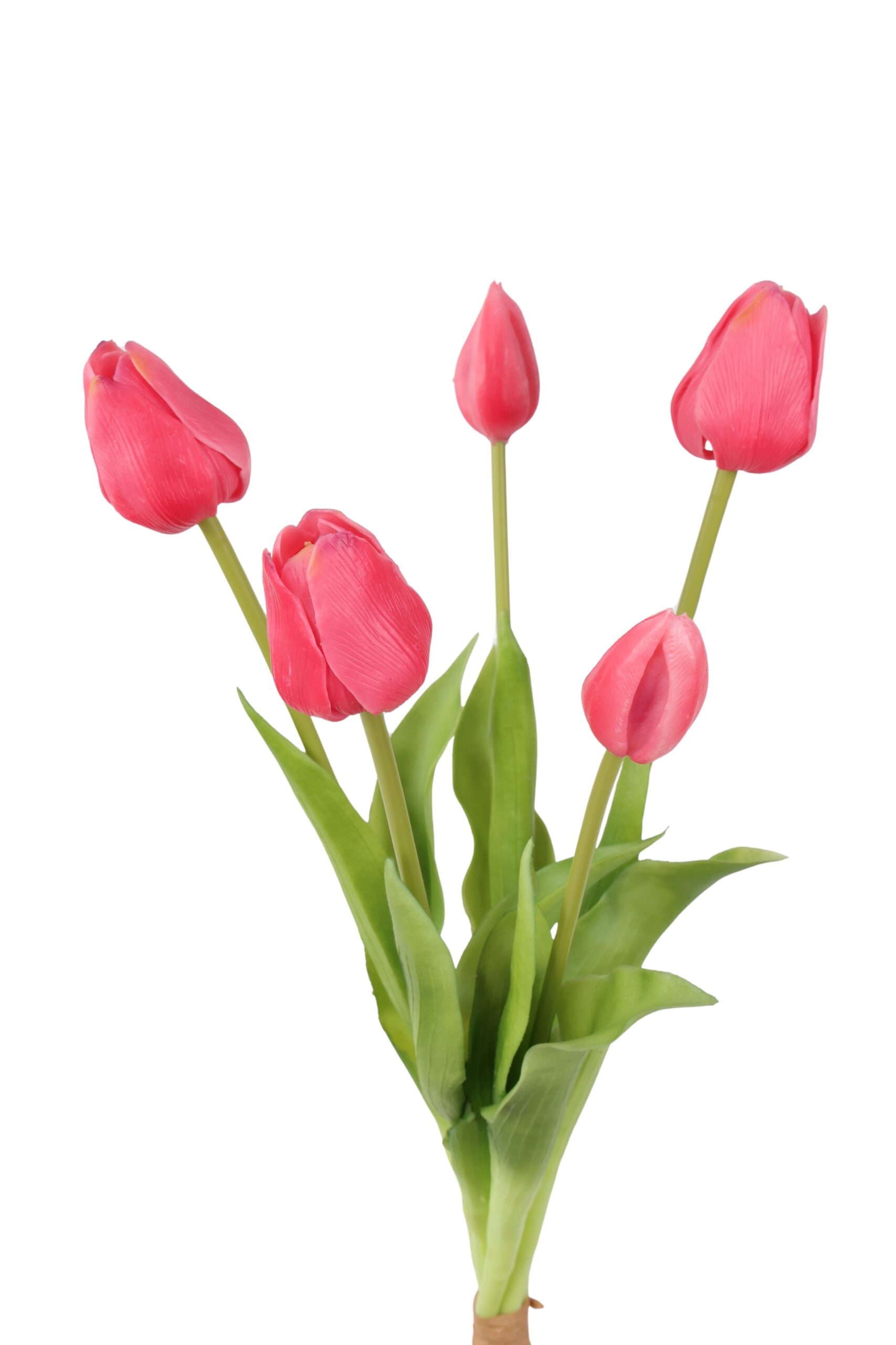 tulp bush x 5 olivia 47 cm fuchsia