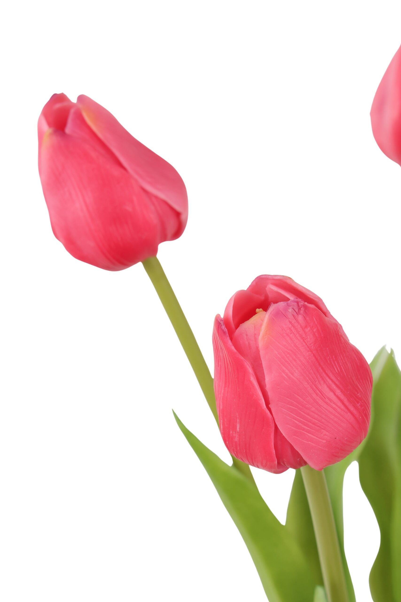 tulp bush x 5 olivia 47 cm fuchsia, foto 2 van 2