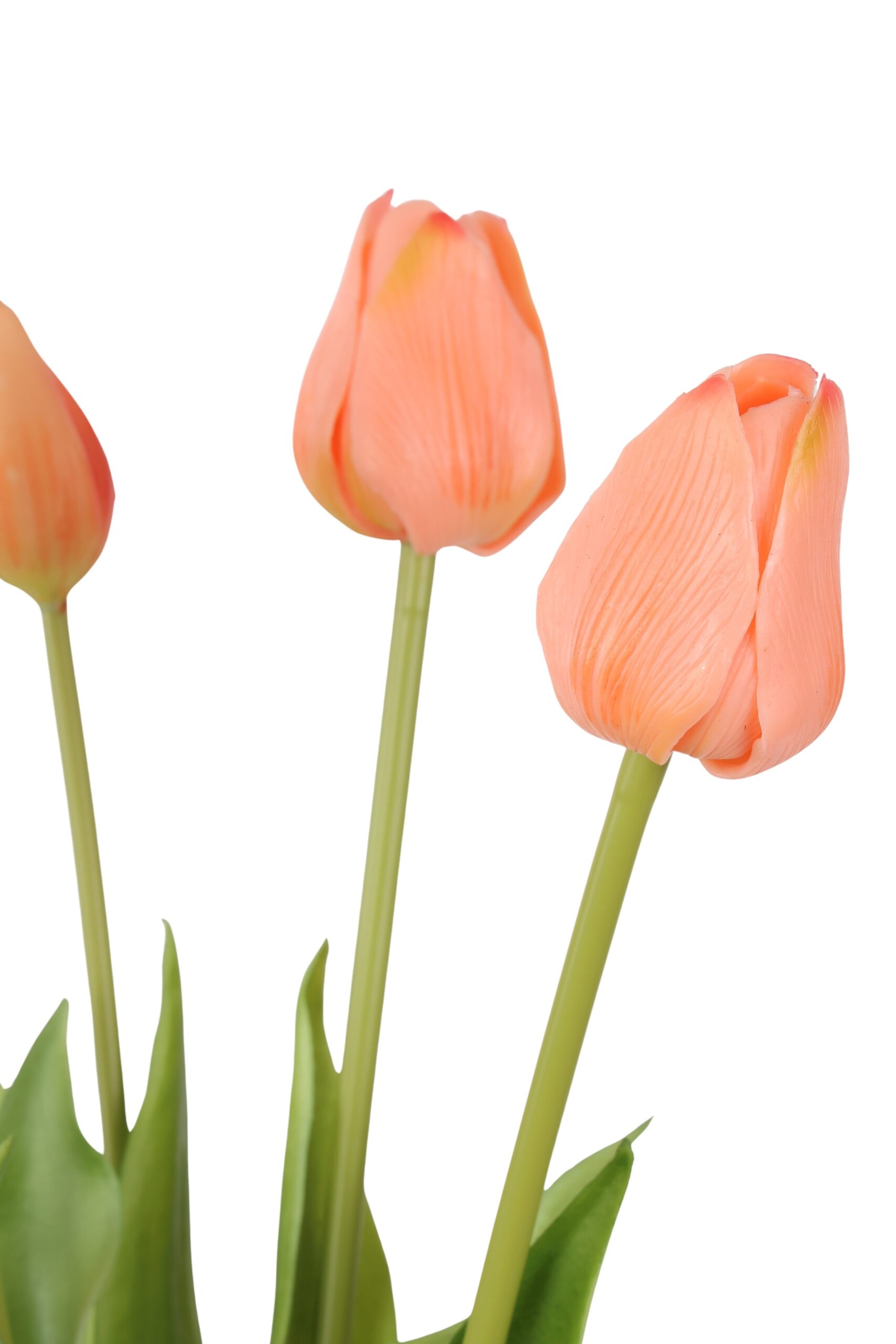 tulp bush x 5 olivia 47 cm salmon, foto 2 van 2