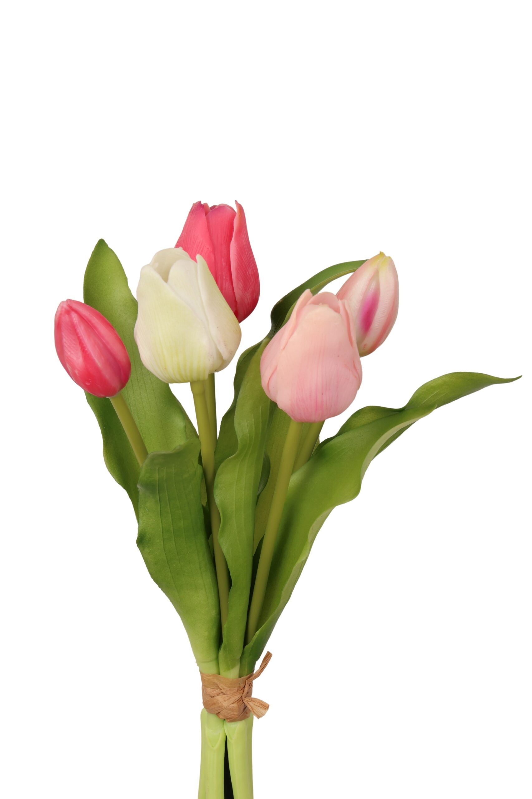 tulp bush x 5 olivia 47 cm wh/fuchsia