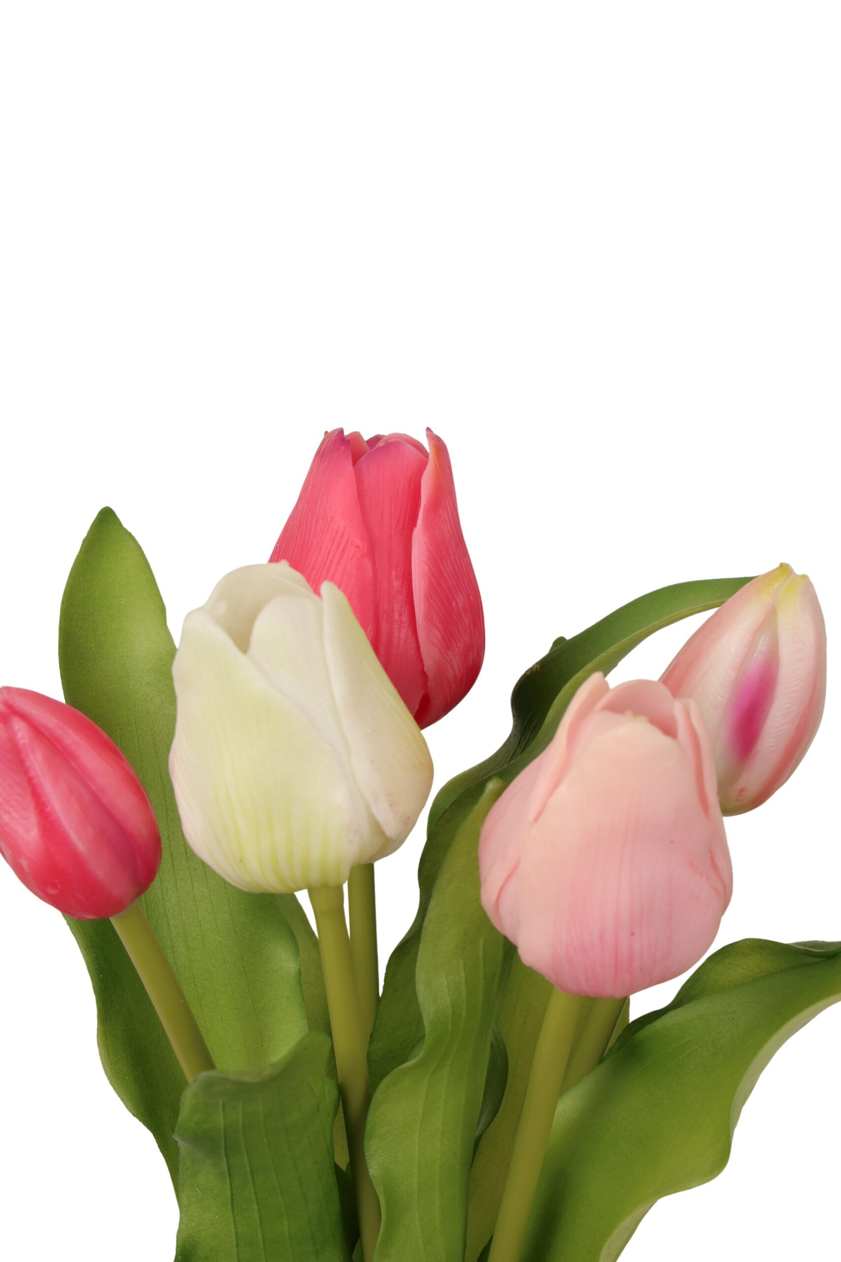 tulp bush x 5 olivia 47 cm wh/fuchsia, foto 2 van 2