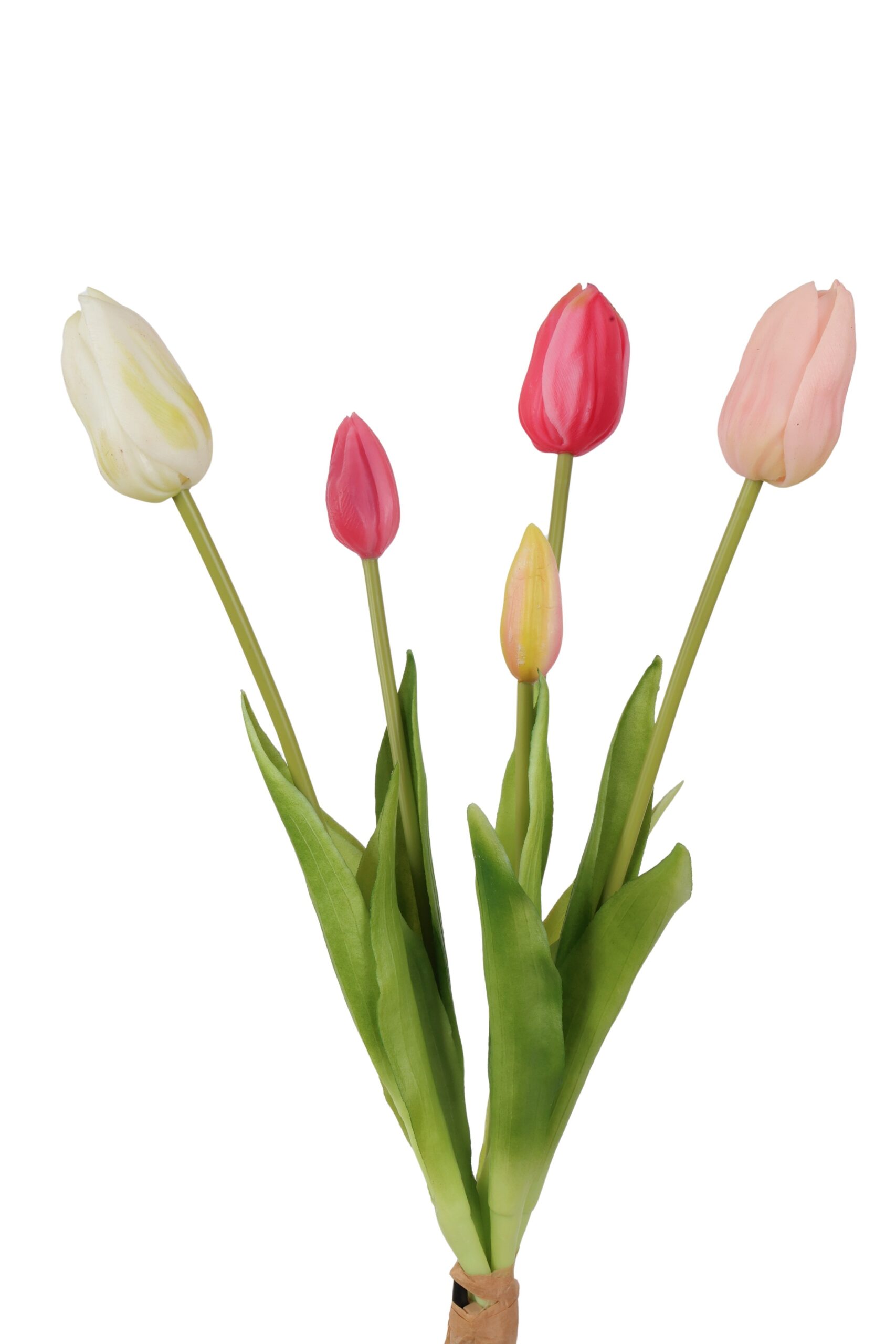 tulp bush x 5 lisa 40 cm wh/fuchsia