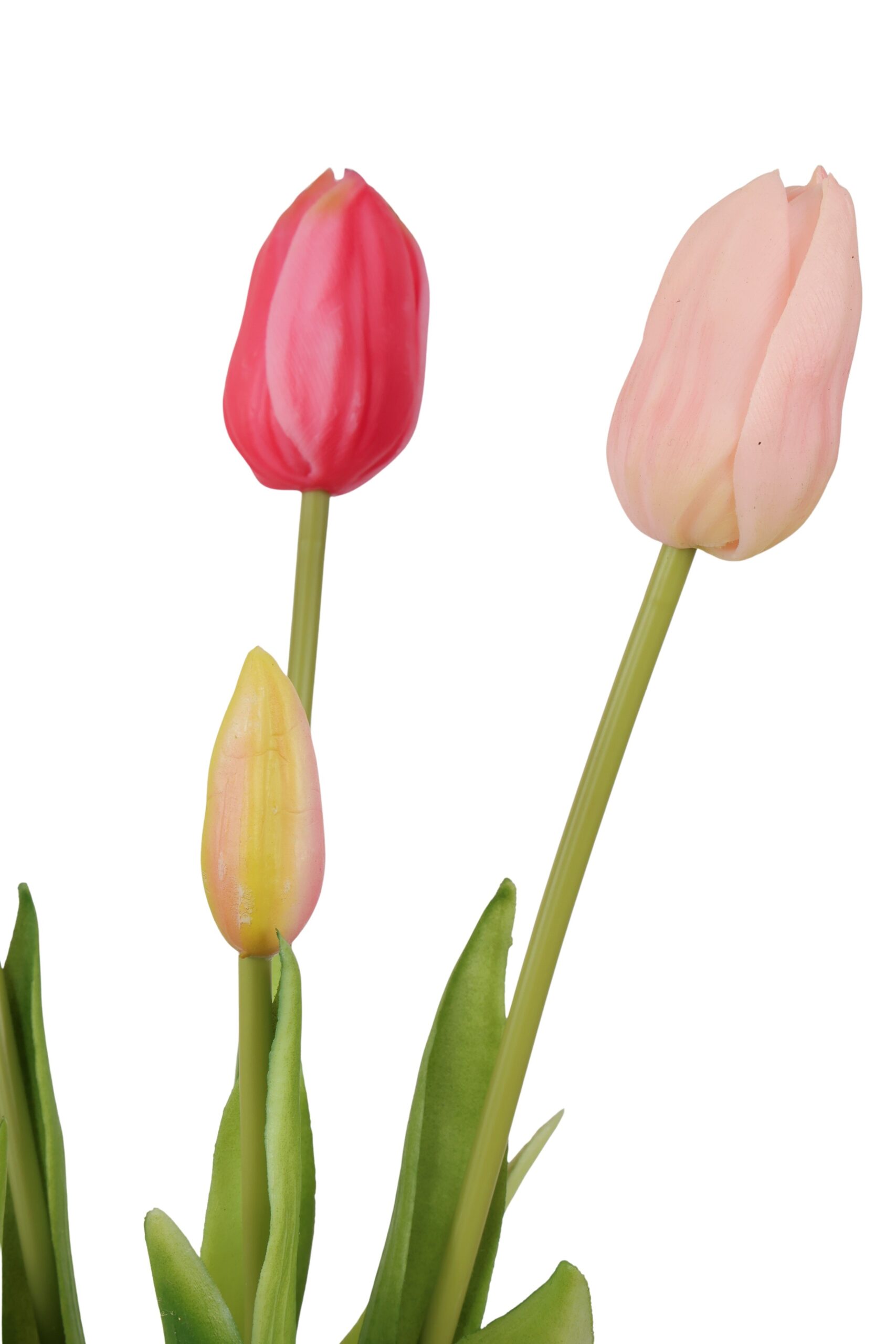 tulp bush x 5 lisa 40 cm wh/fuchsia, foto 2 van 2