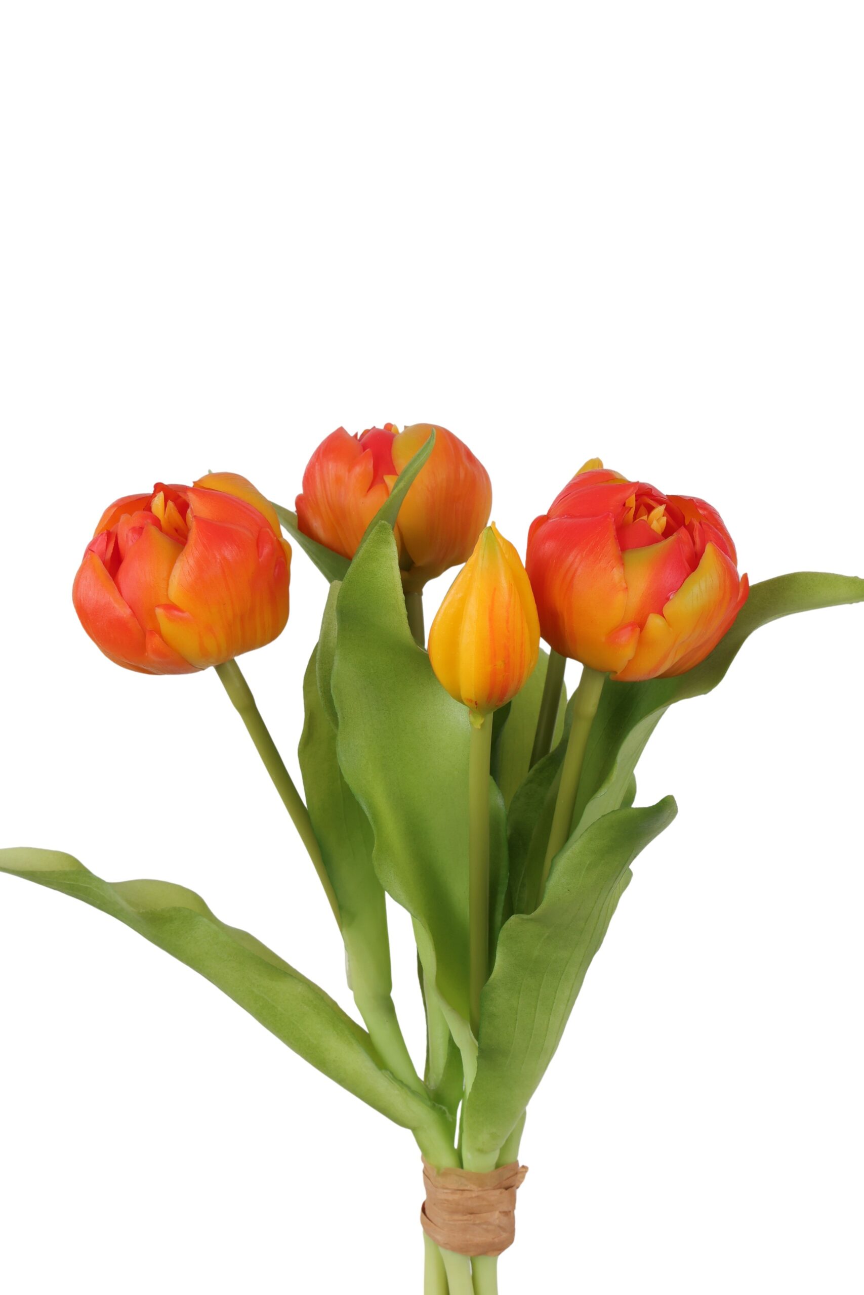 pioen tulp bush x 5 orange