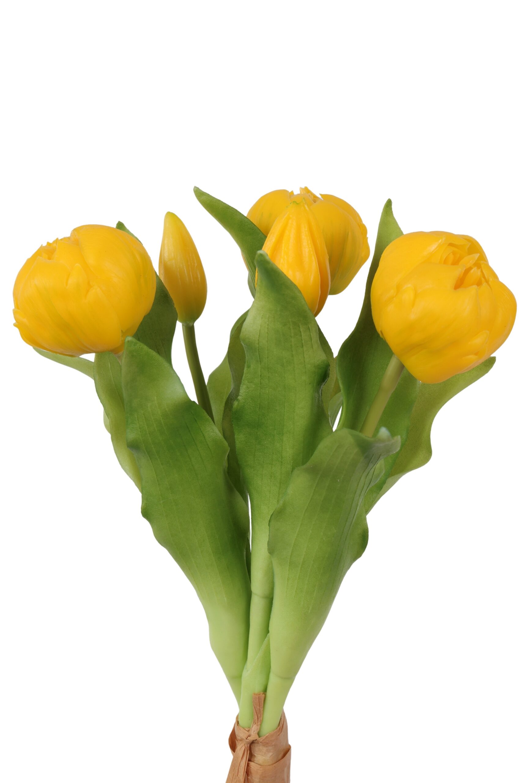 pioen tulp bush x 5 yellow