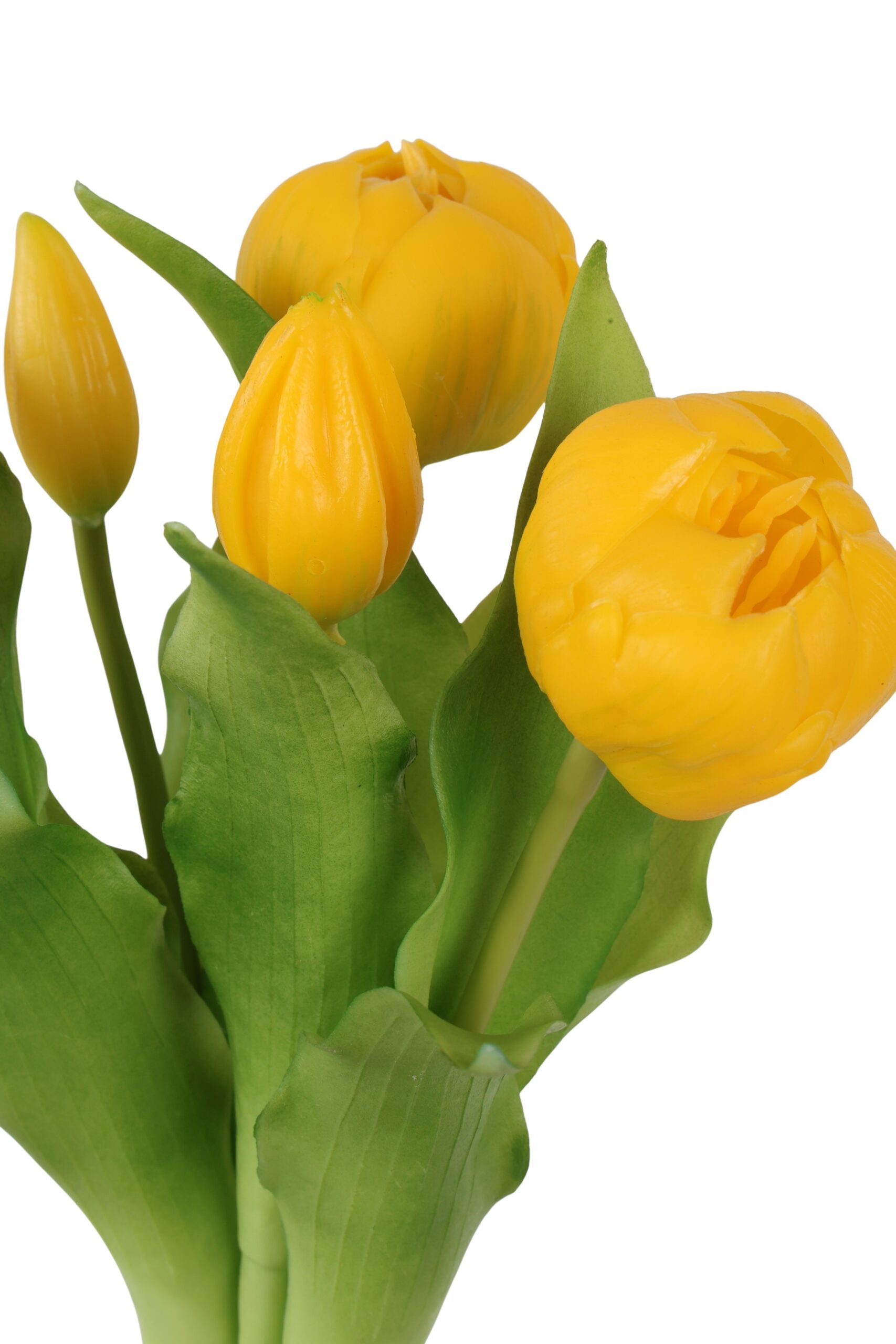 pioen tulp bush x 5 yellow, foto 2 van 2