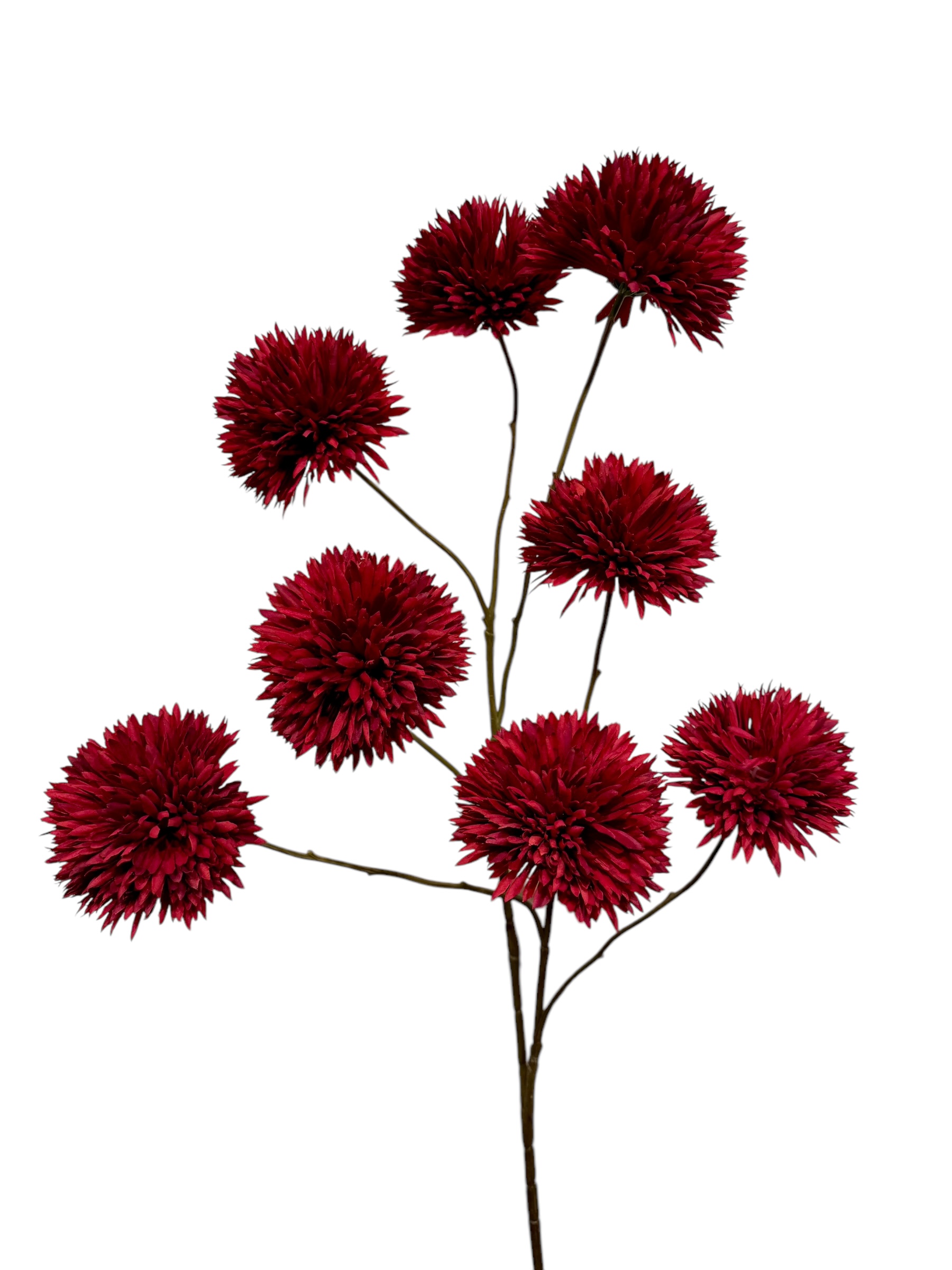 Homepagina - Robert's Collection