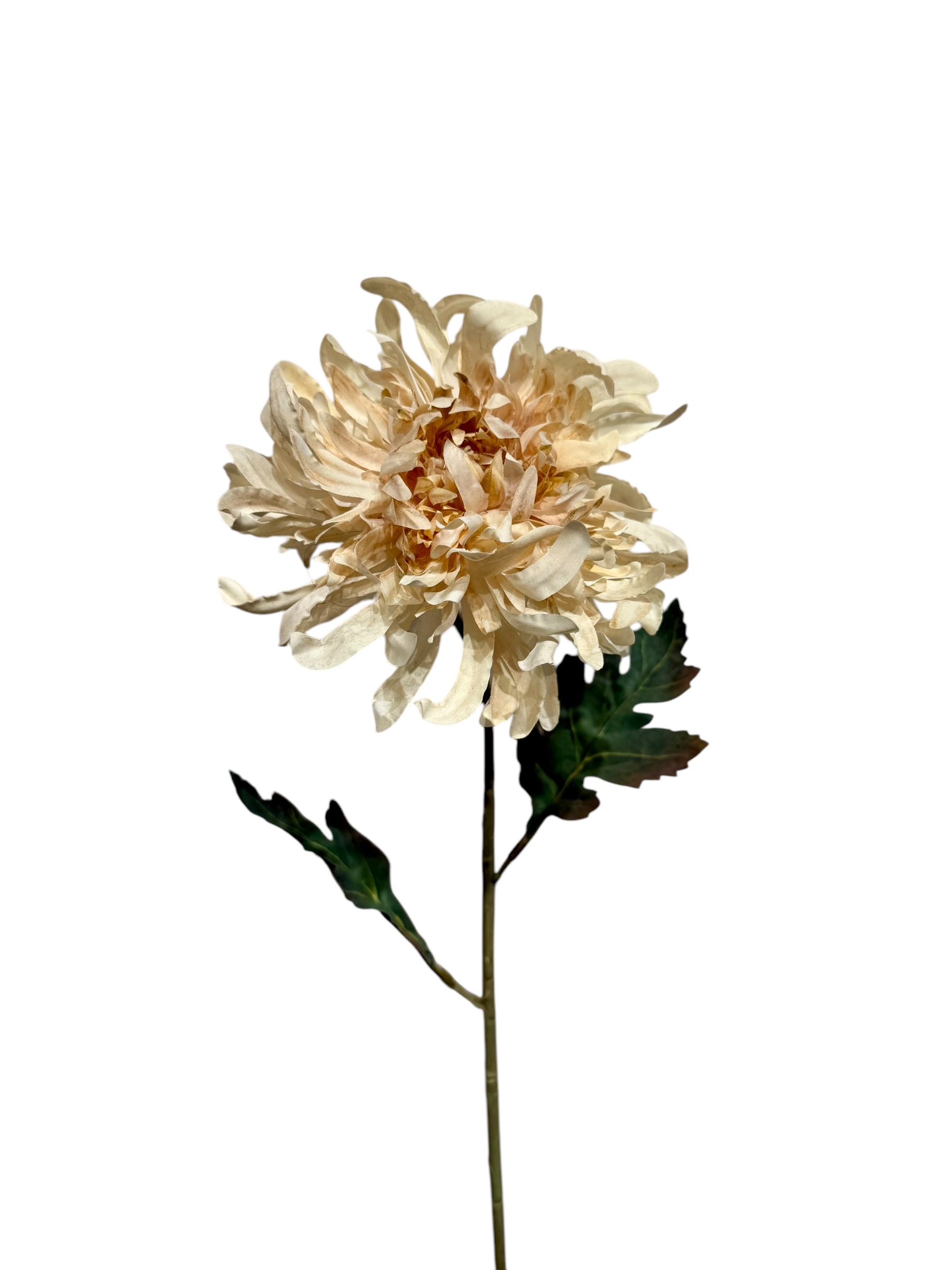 Chrysant spray 68 cm cream