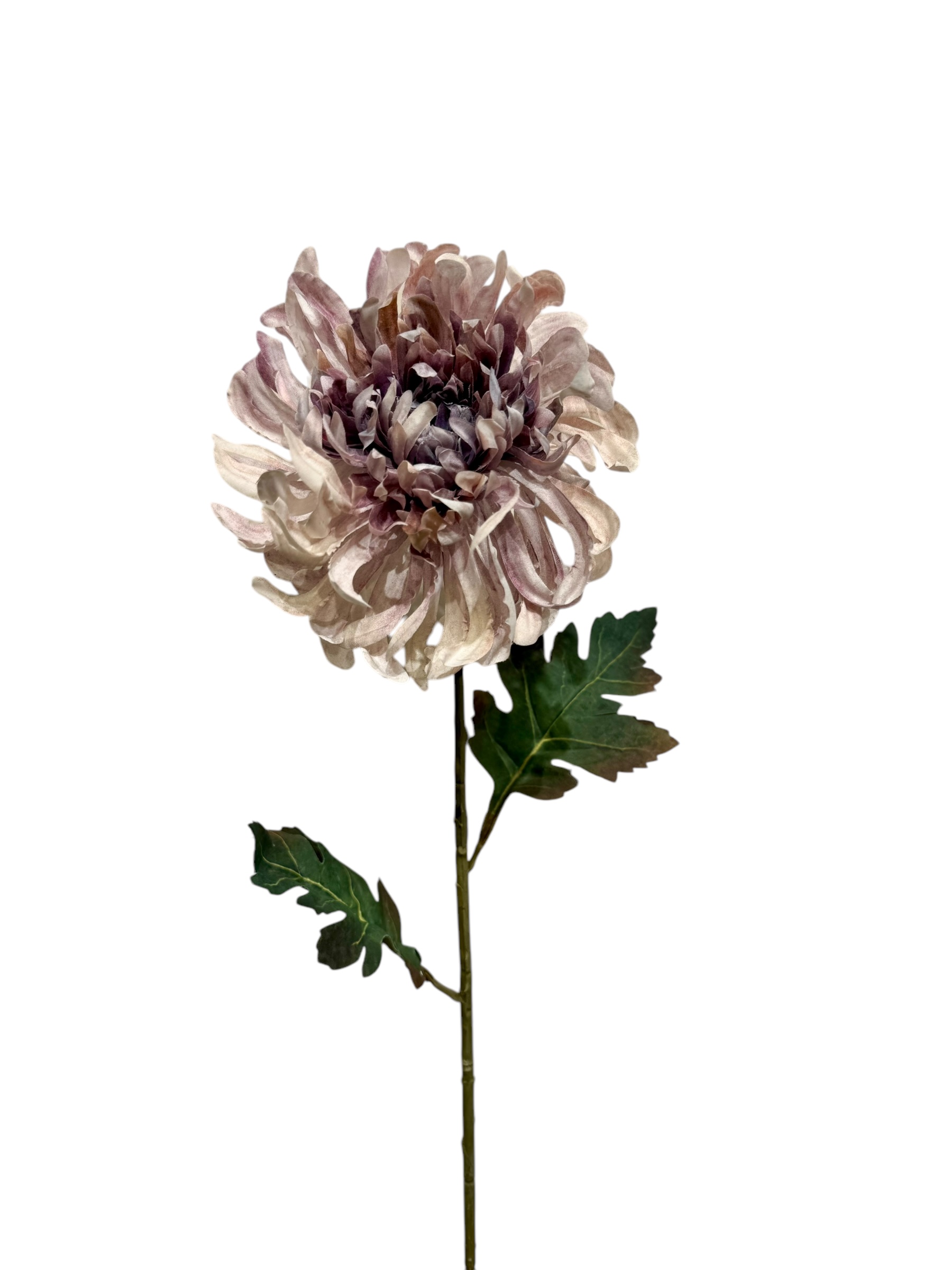 Chrysant spray 68 cm purple