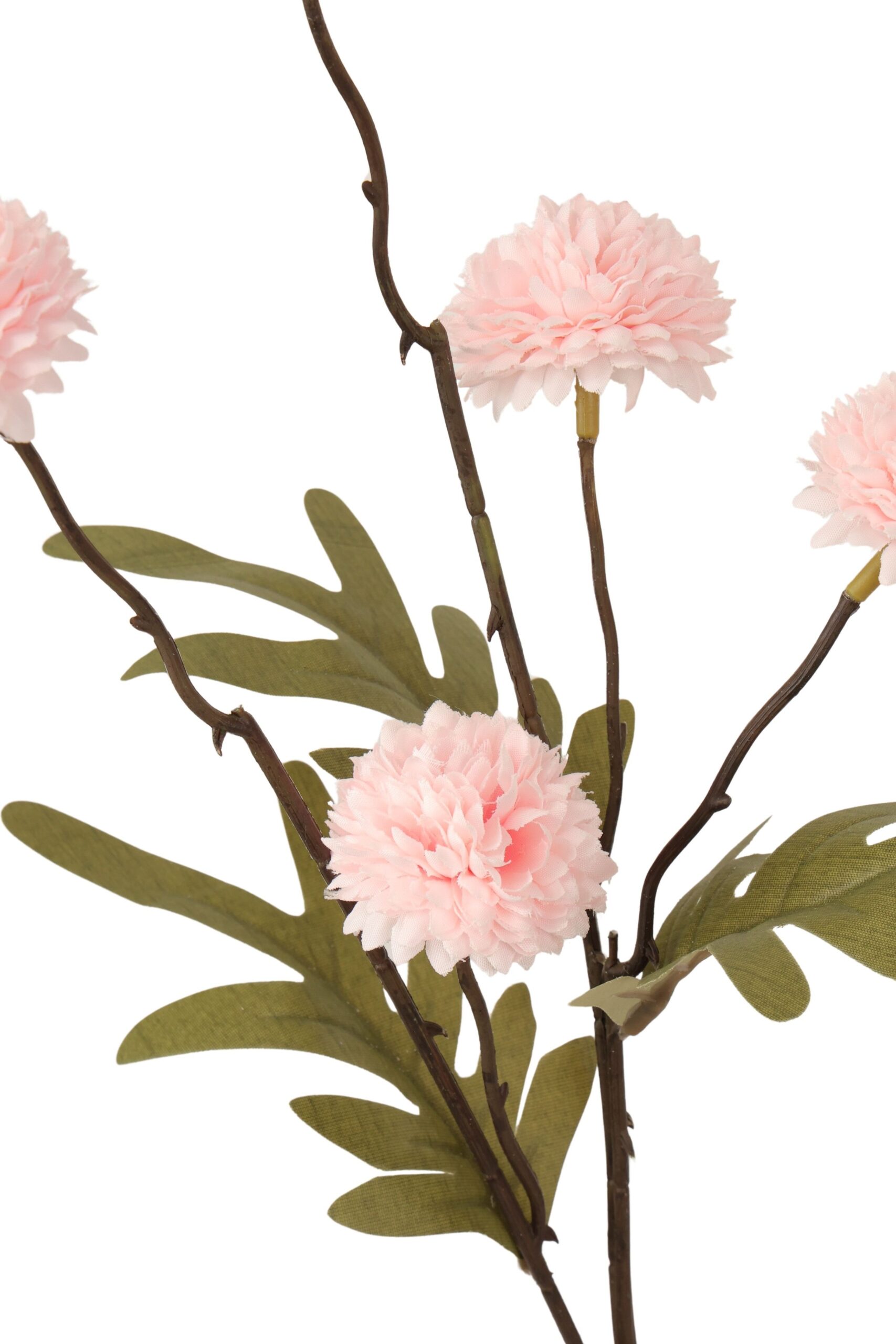 pompom spray x 5 zacht rose, foto 2 van 2