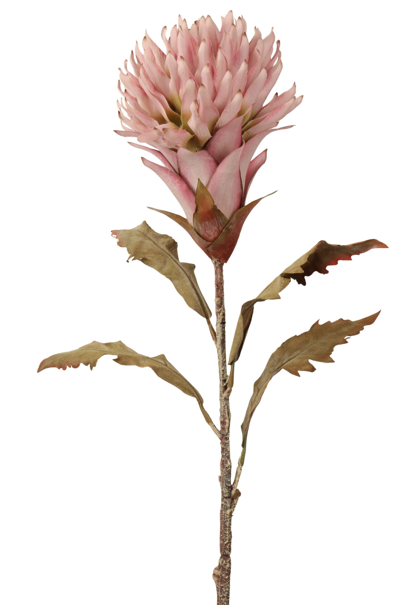 Exotisch tak 80 cm roze