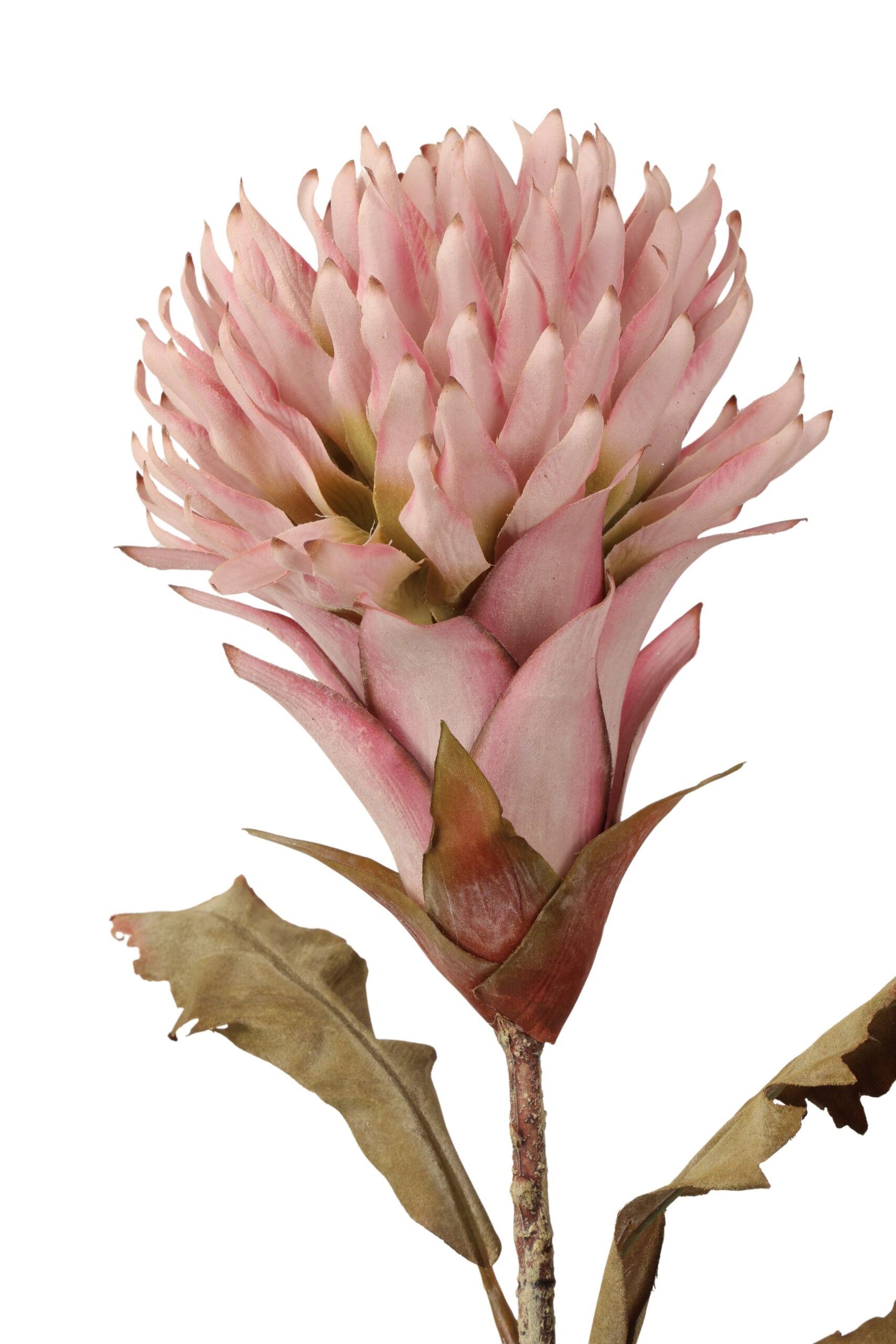 Exotisch tak 80 cm roze, foto 2 van 2