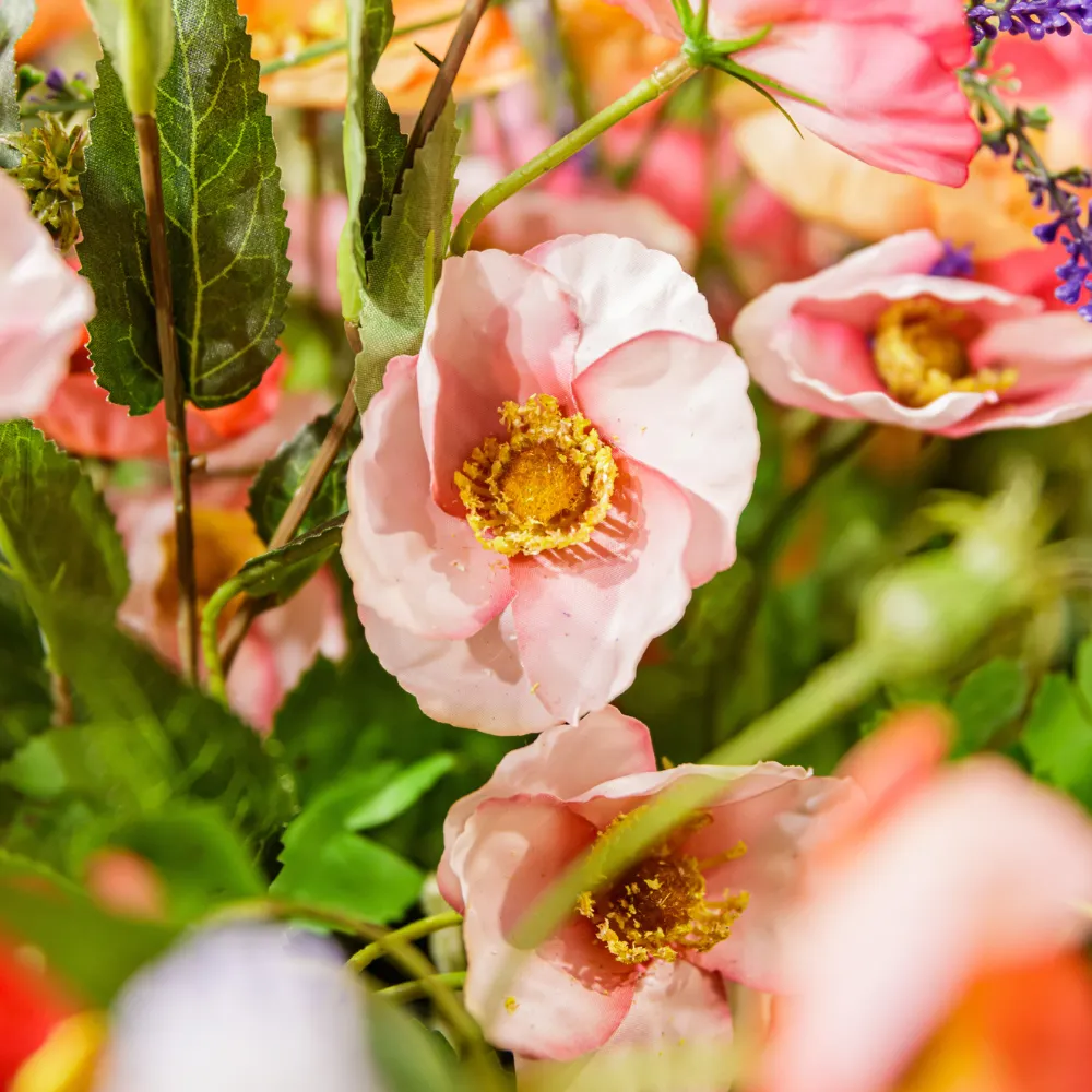Bloemen Fotografie