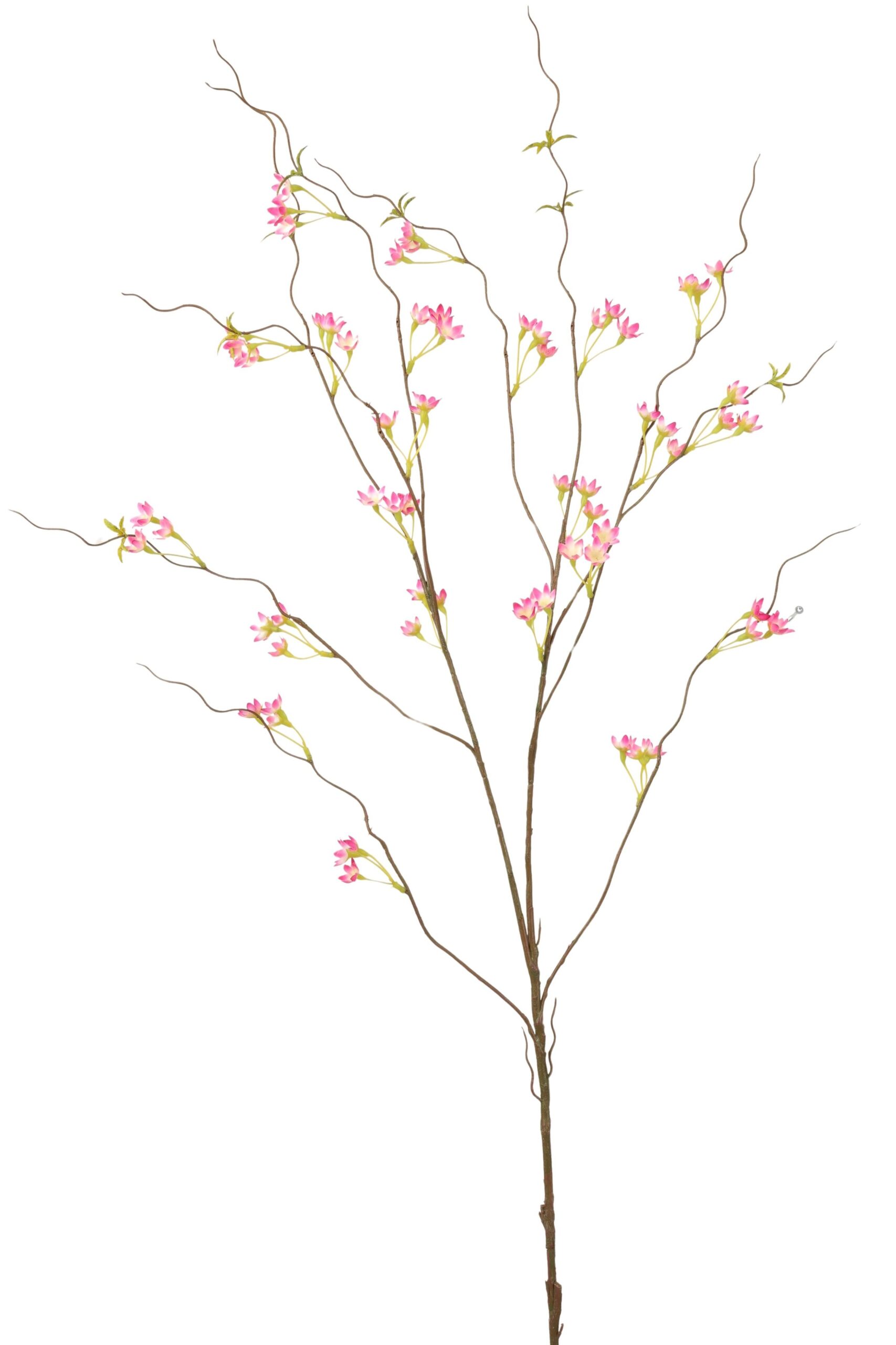 Gypsophylia tak 120 cm roze