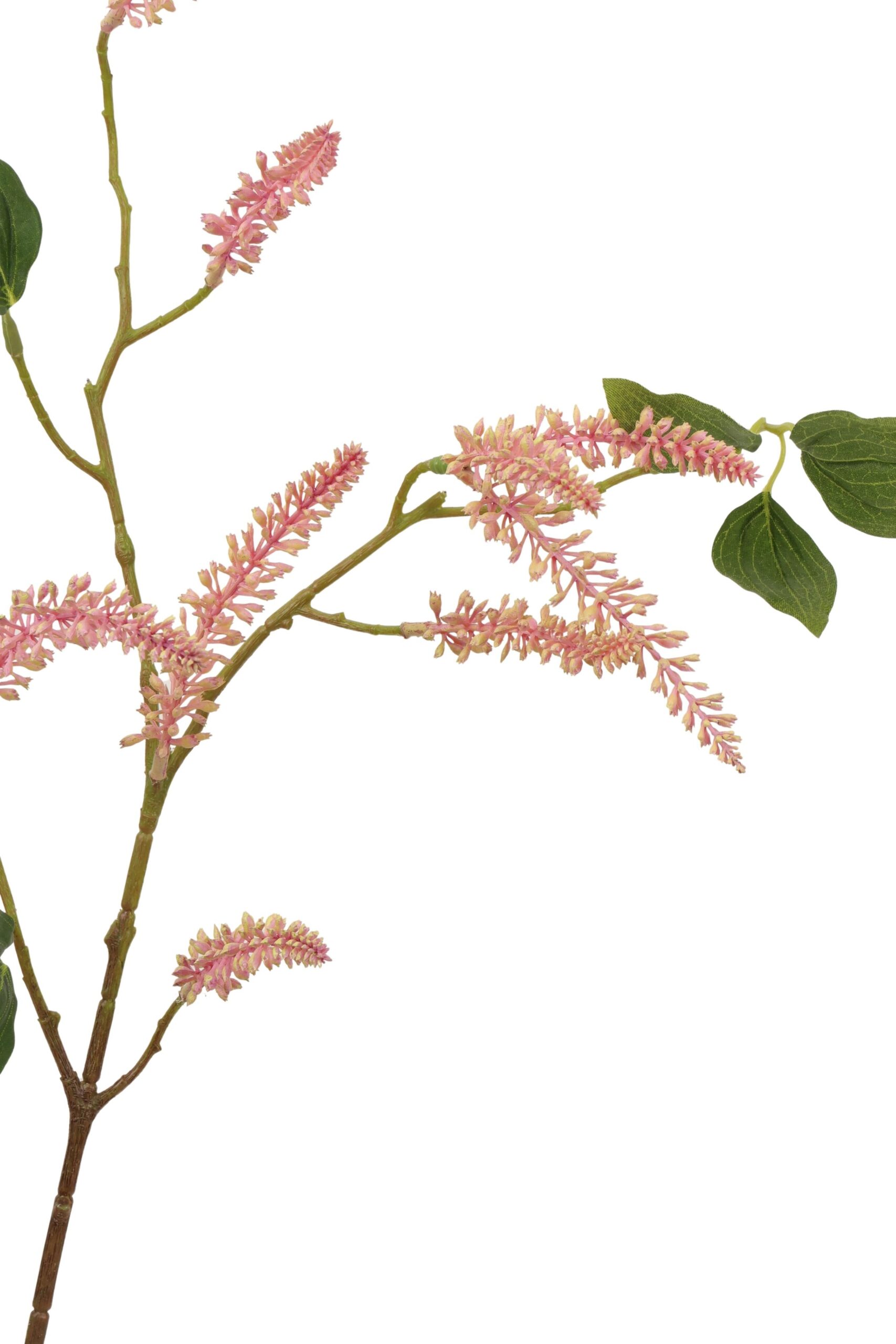 Amaranthus tak 82 cm roze, foto 2 van 2