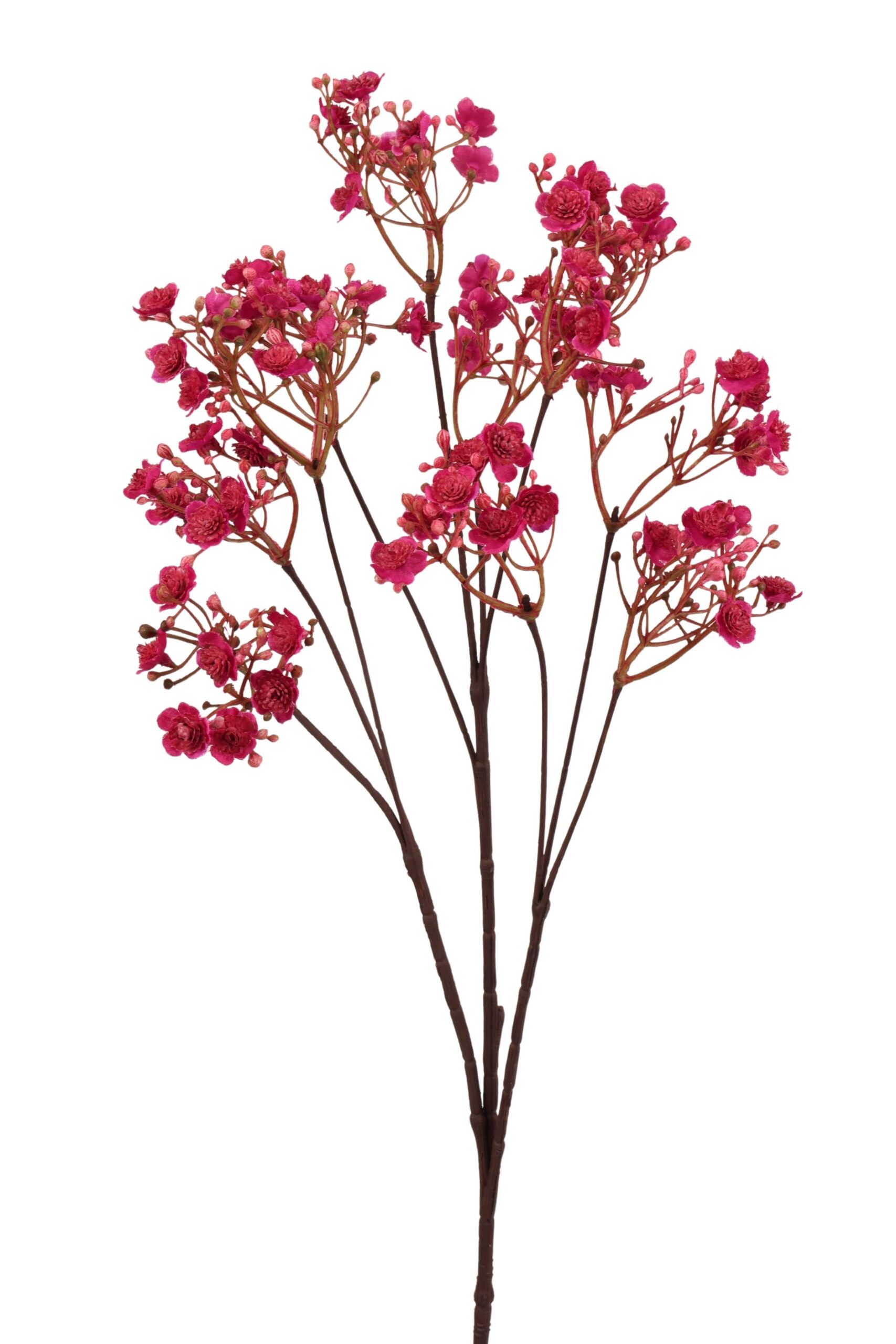 Gips tak 70 cm fuchsia