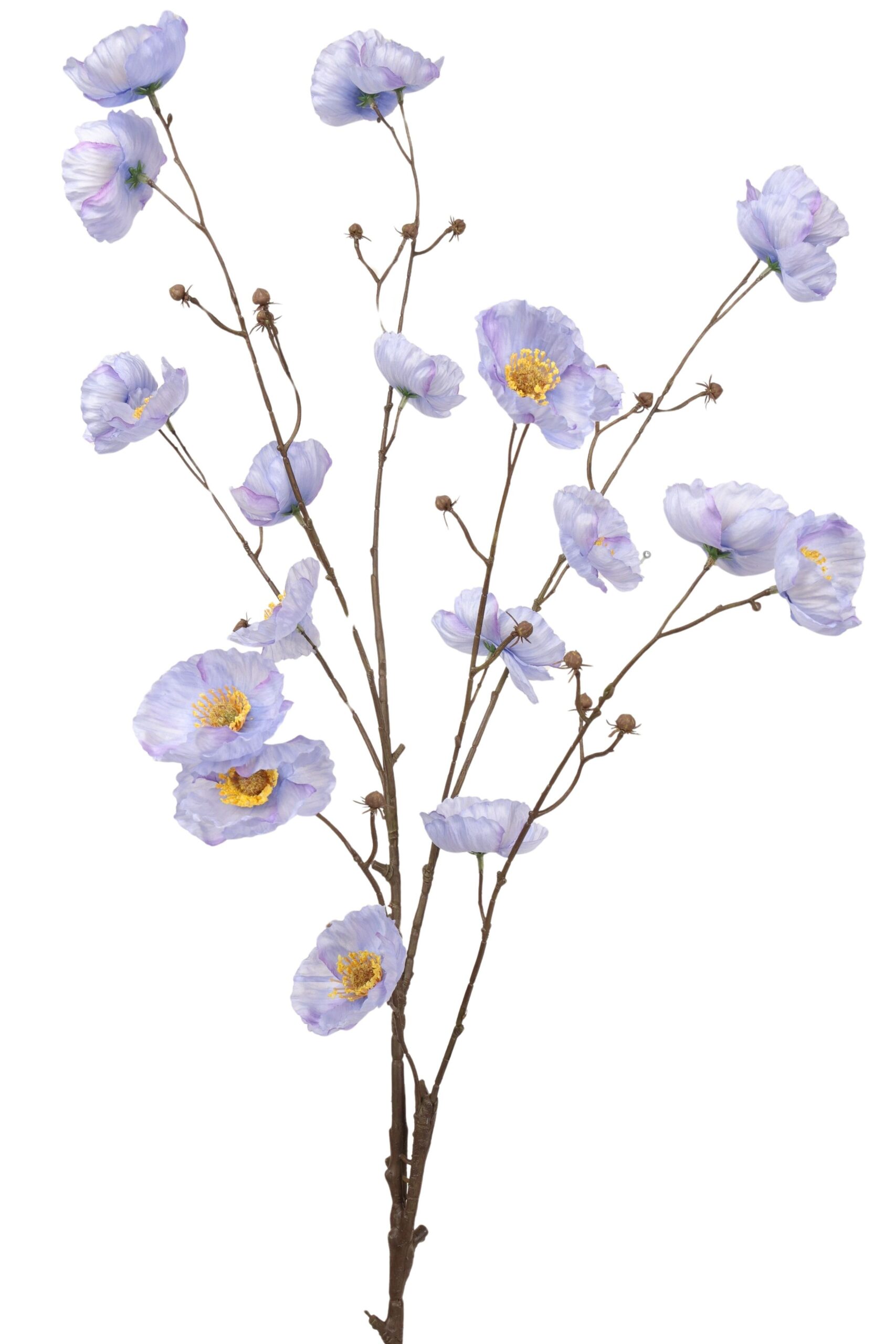 Papaver tak 122 cm multi blauw
