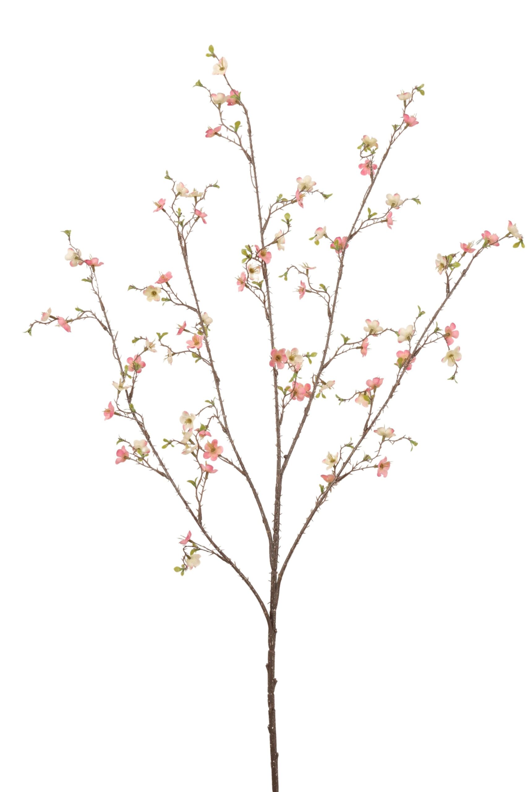 Bloesem tak x 4 106 cm donkerroze