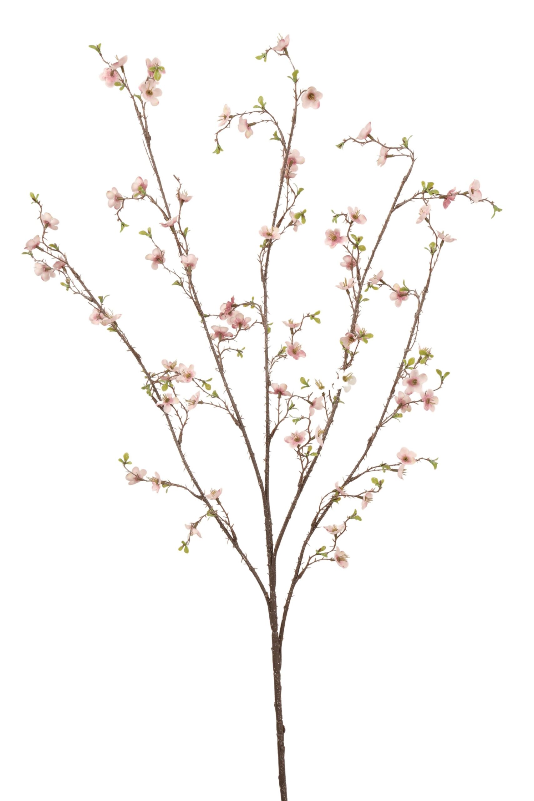 Bloesem tak x 4 106 cm lichtroze