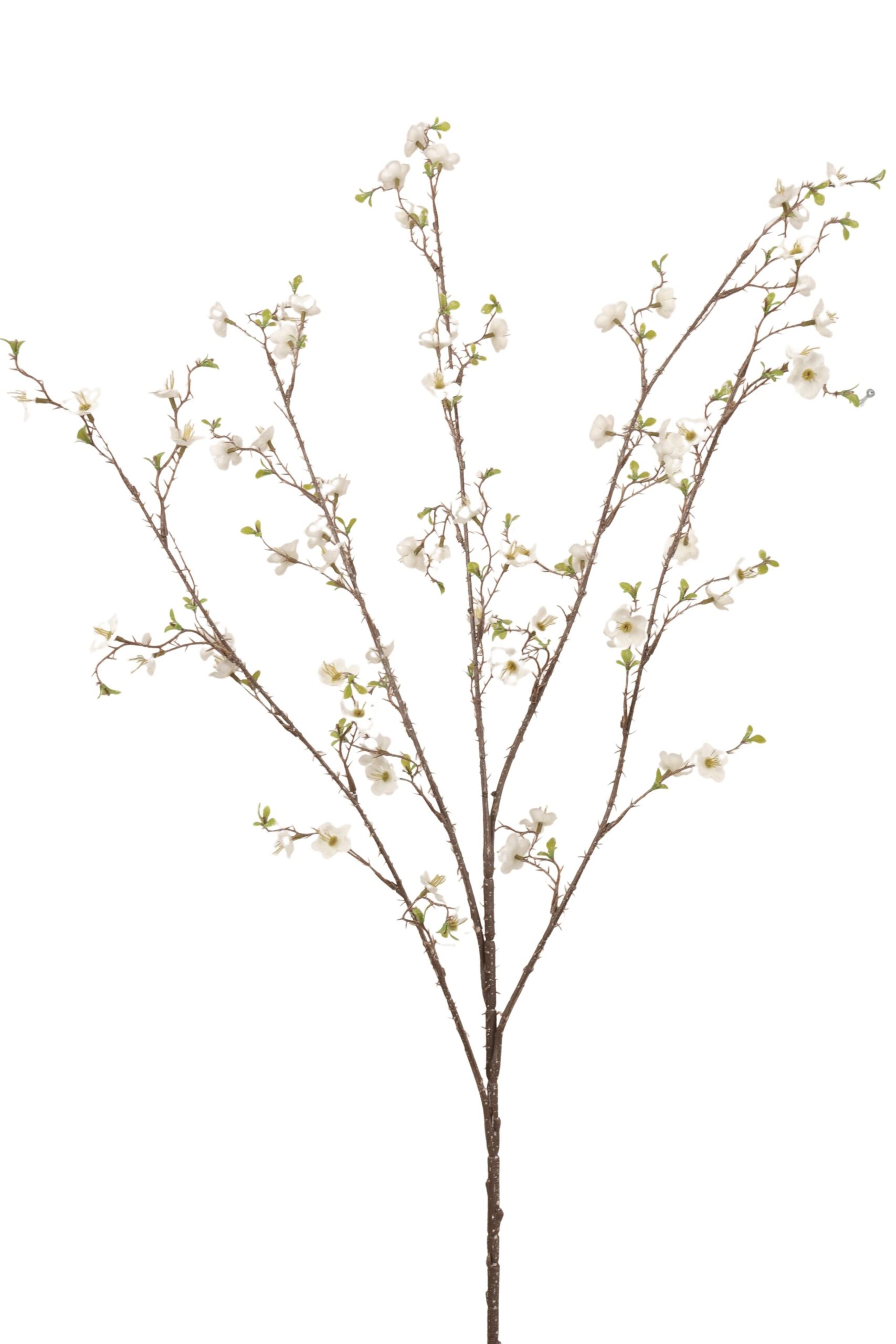 Bloesem tak x 4 106 cm wit