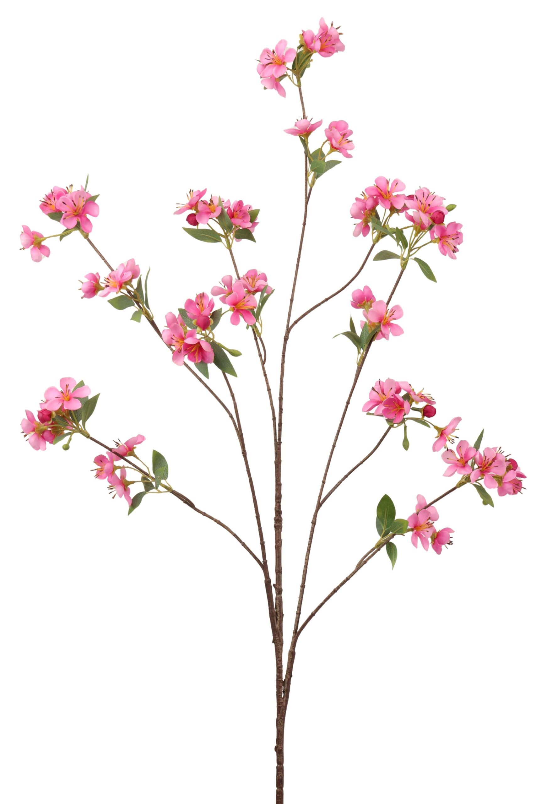 Bloesem tak akito 128 cm fuchsia
