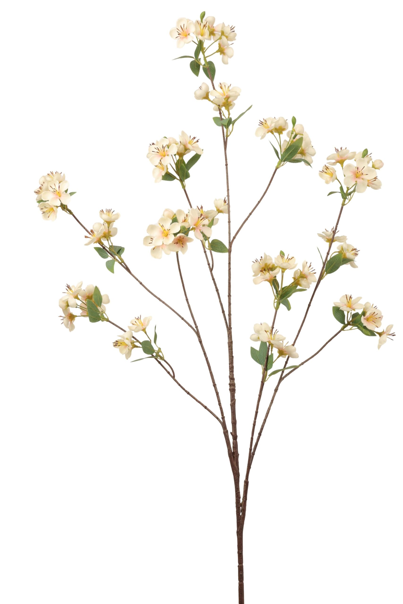 Bloesem tak akito 128 cm champagne